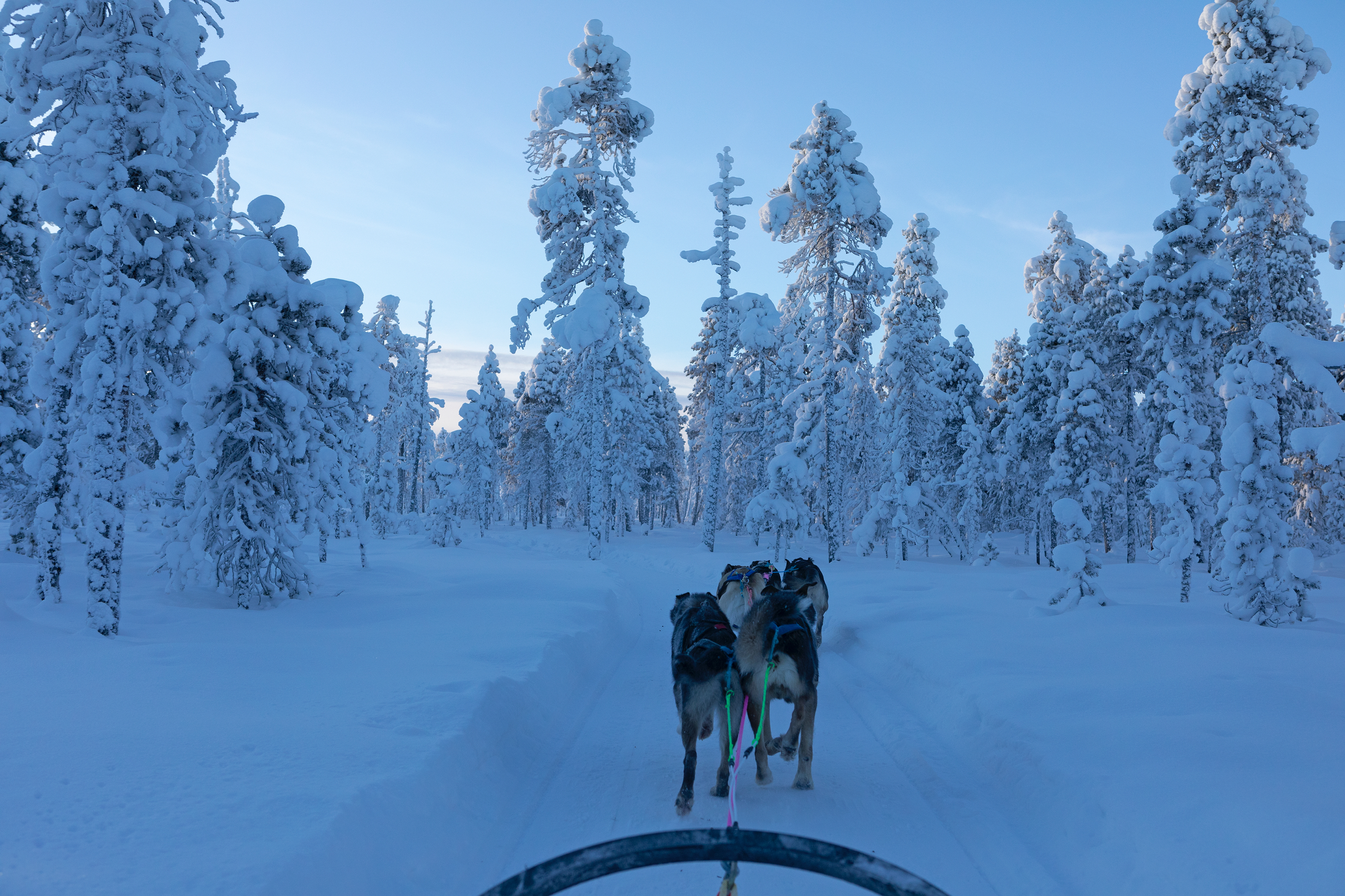 Ausfahrt durch die finnischen Wälder