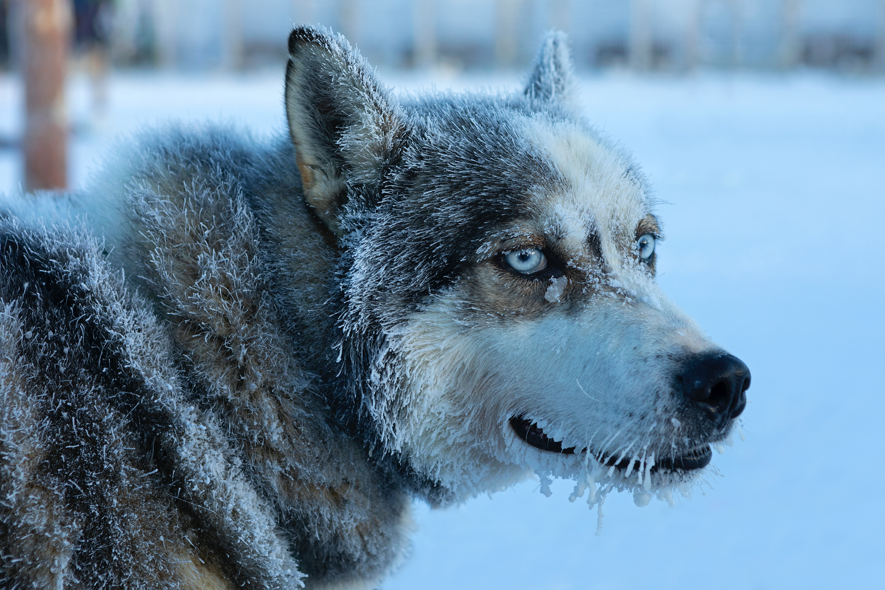 nach der Tour, Finnland