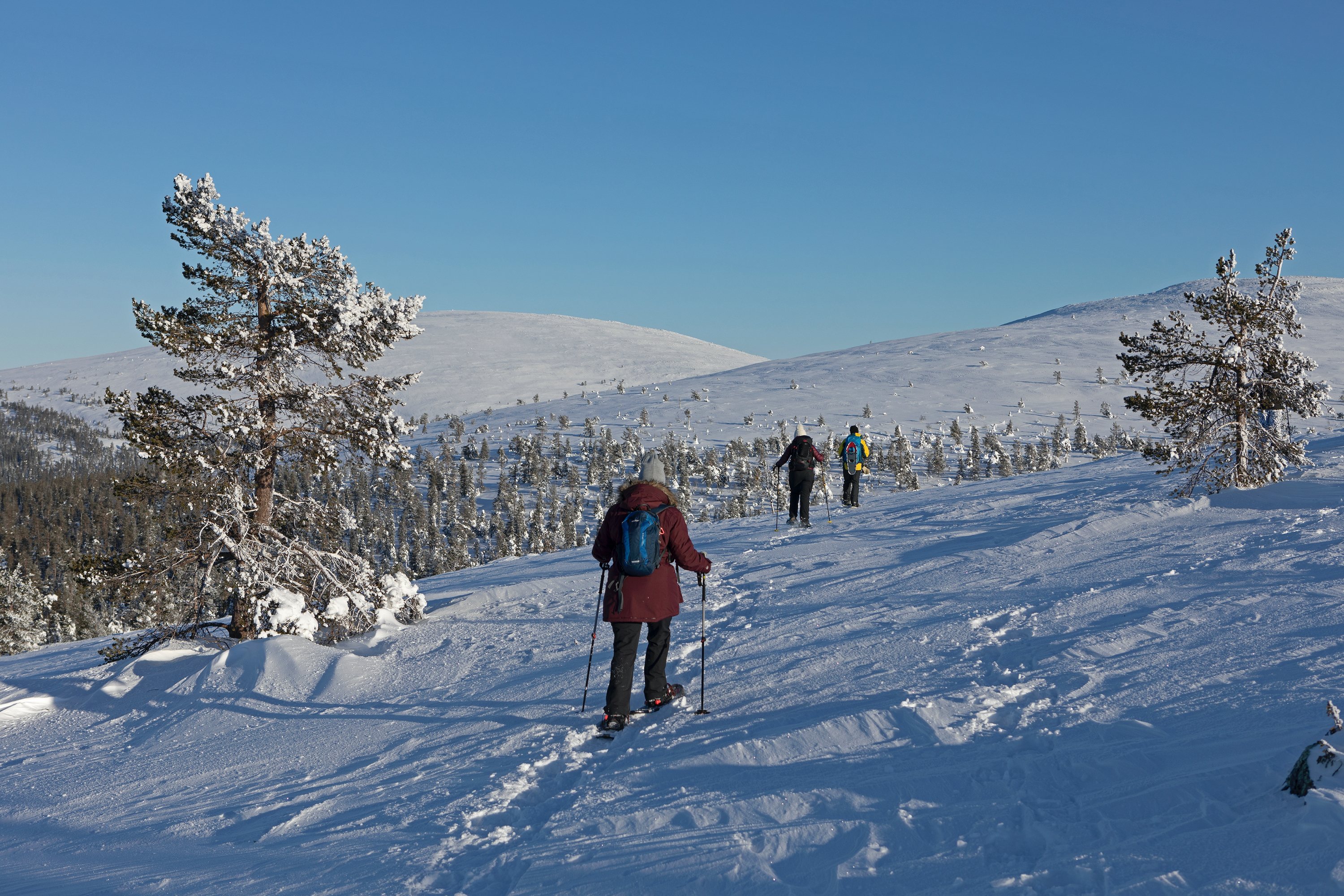 Schneeschuhwanderung, Finnland