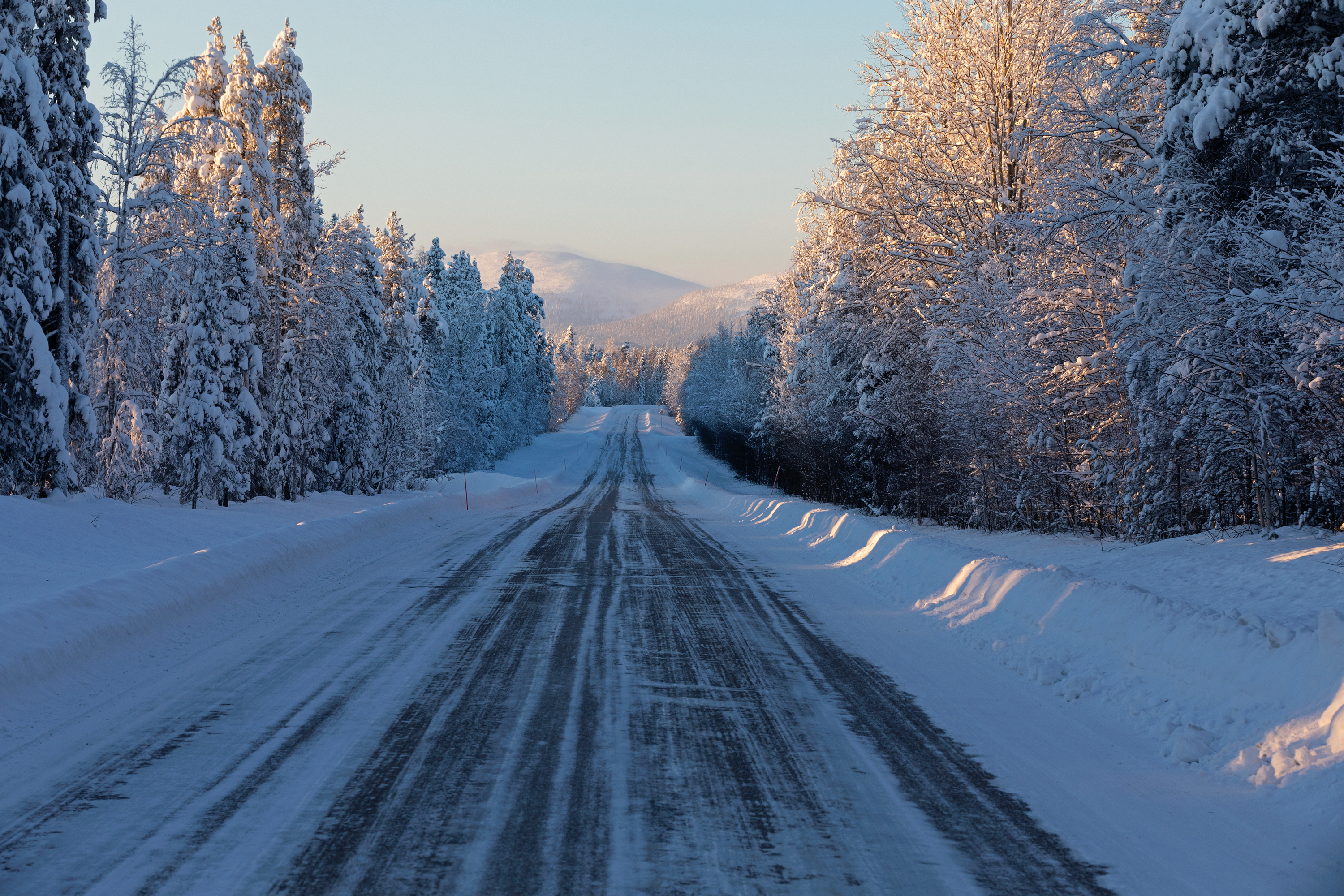 Skan2 06.02.2018 032