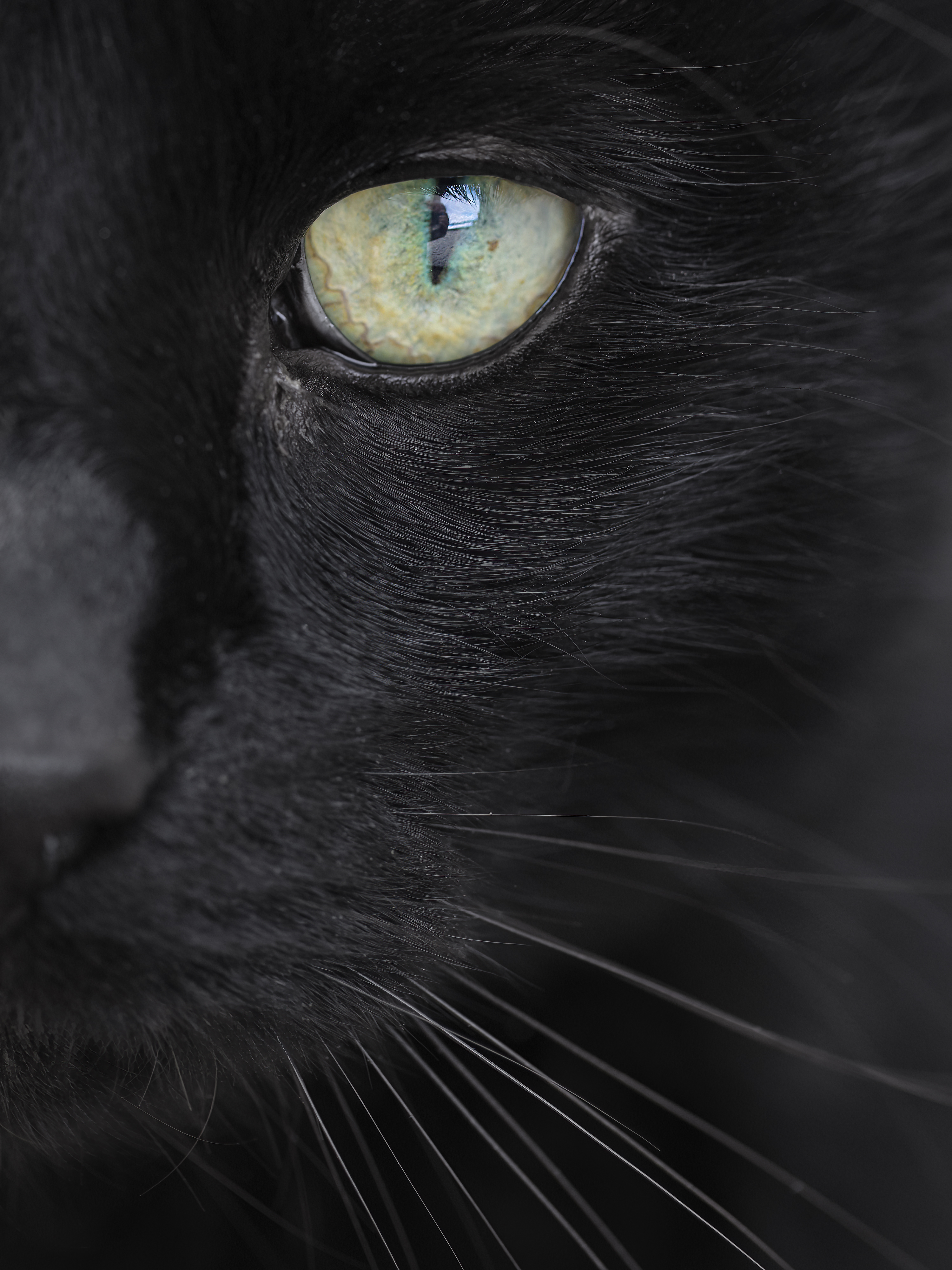 Liebe Grüße von ...