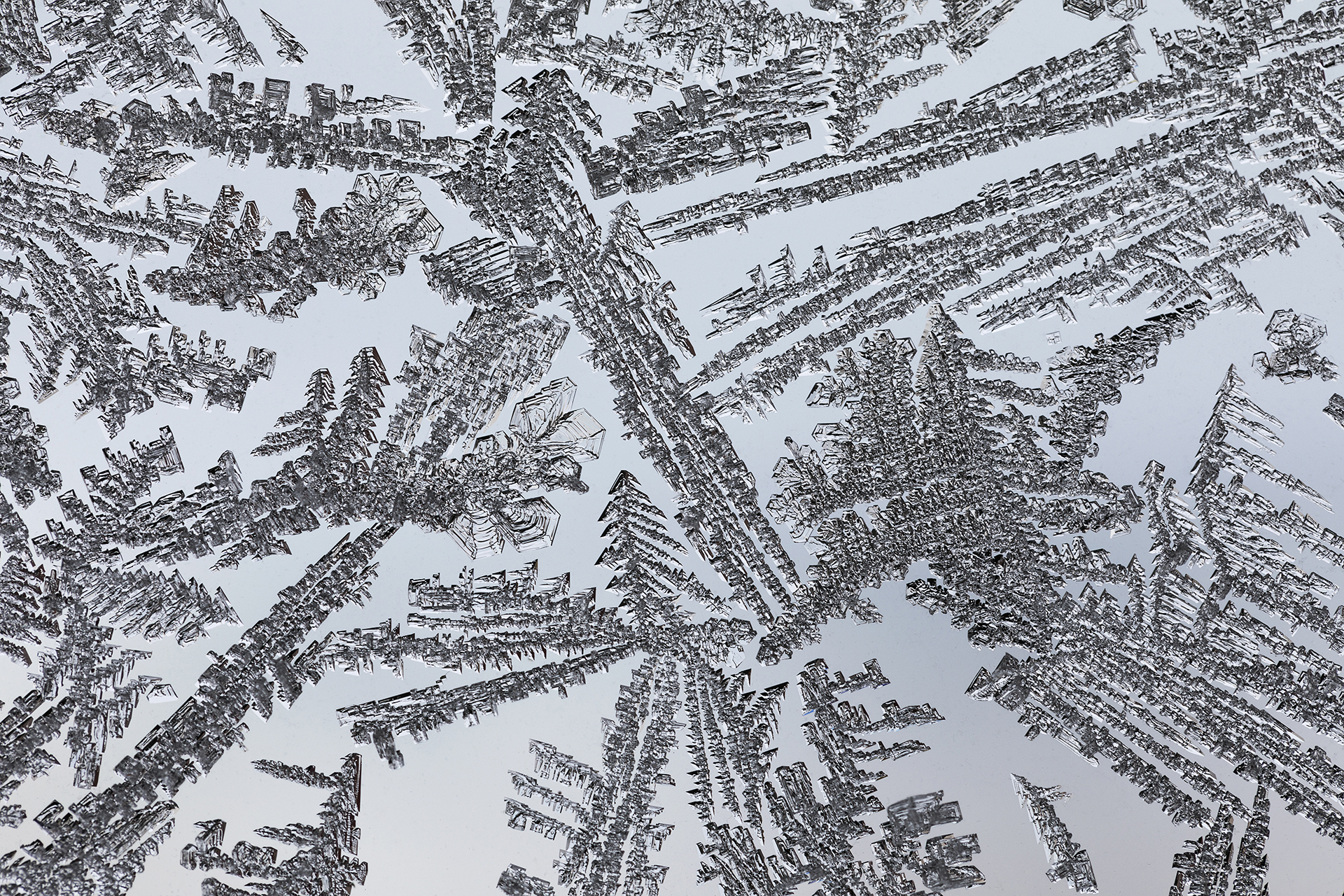 Eisblumen (Makroaufnahme)