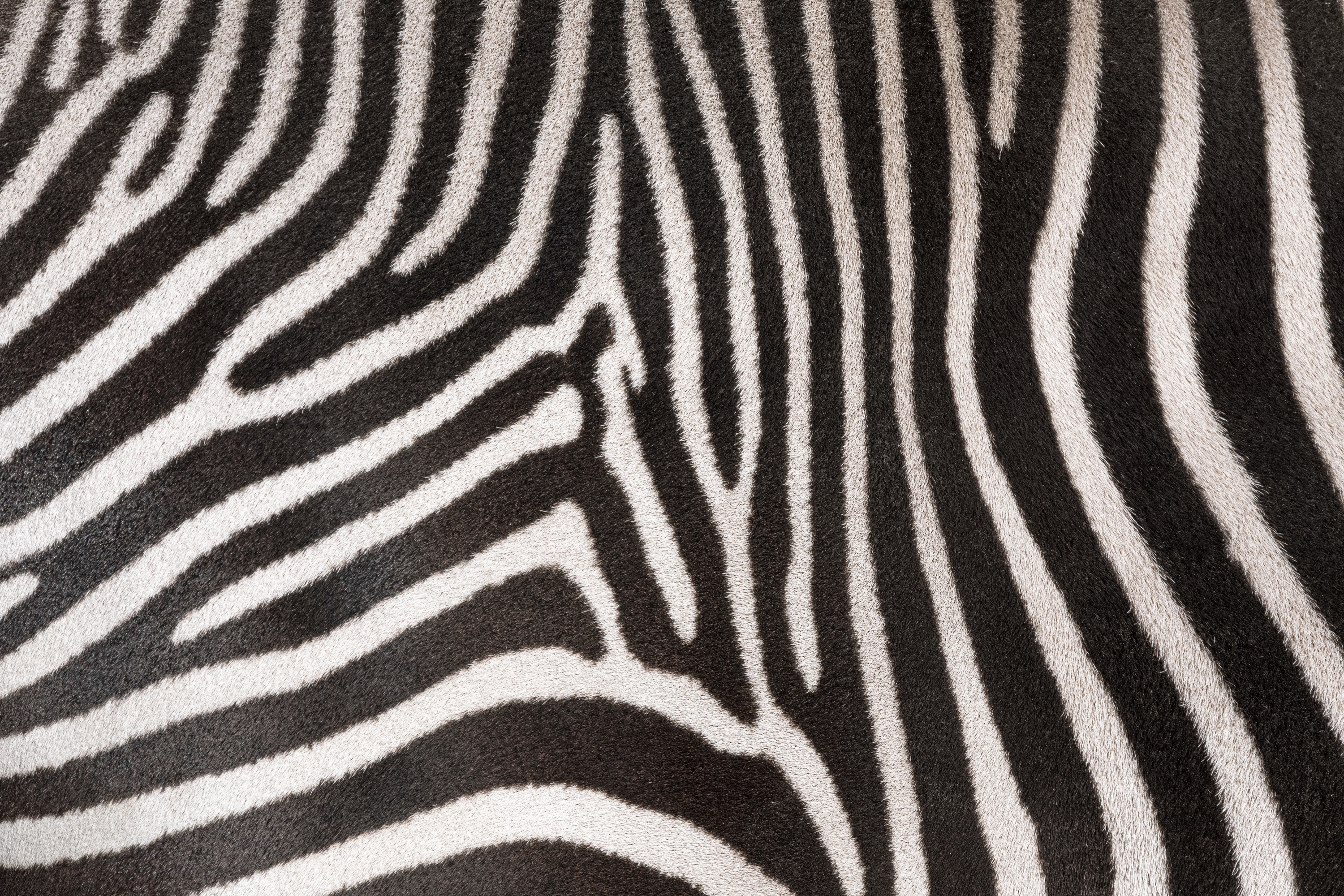 erst ist das Schwarz da, dann kommt das Weiß hinzu