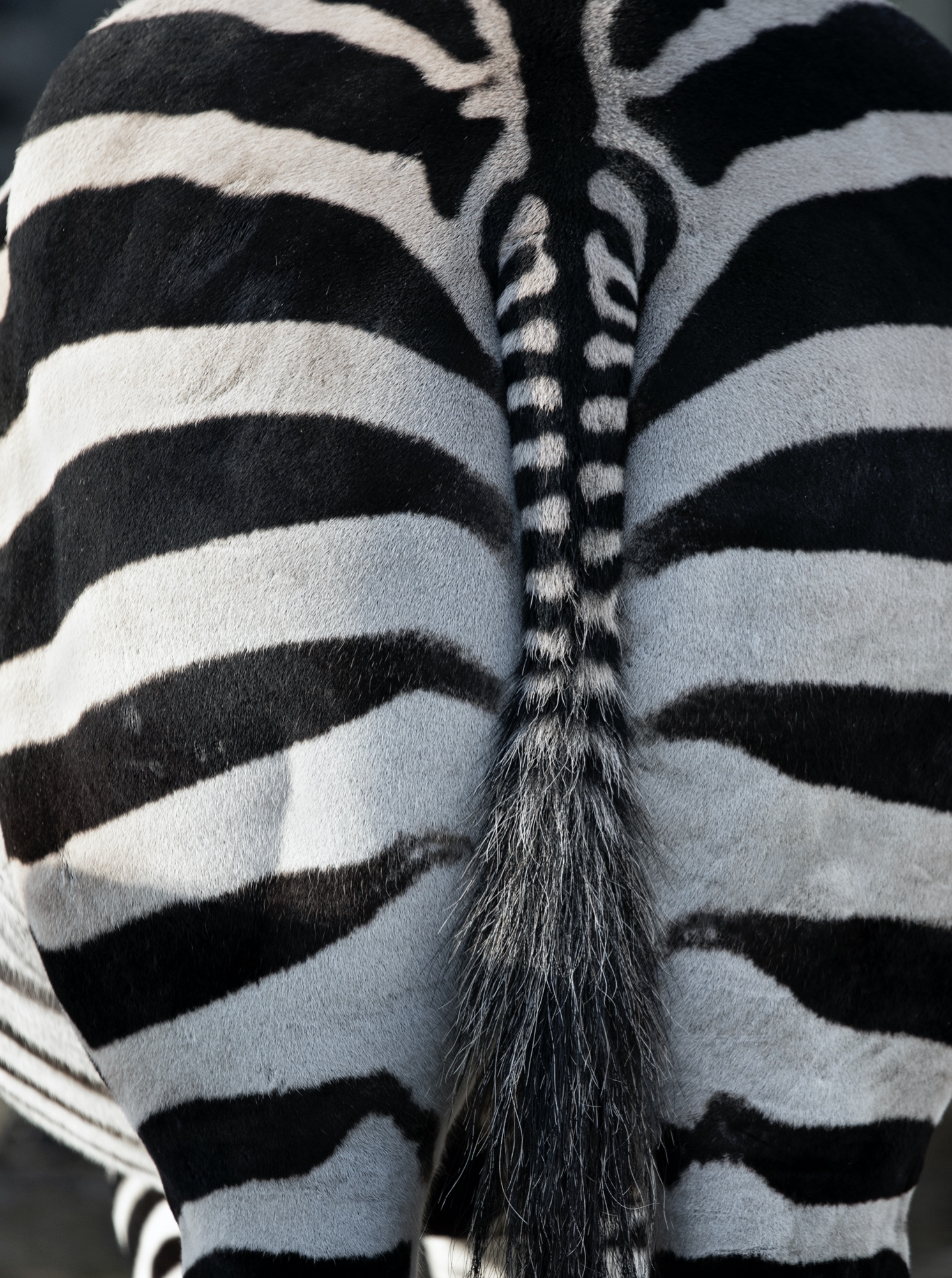 große und kleine Streifen