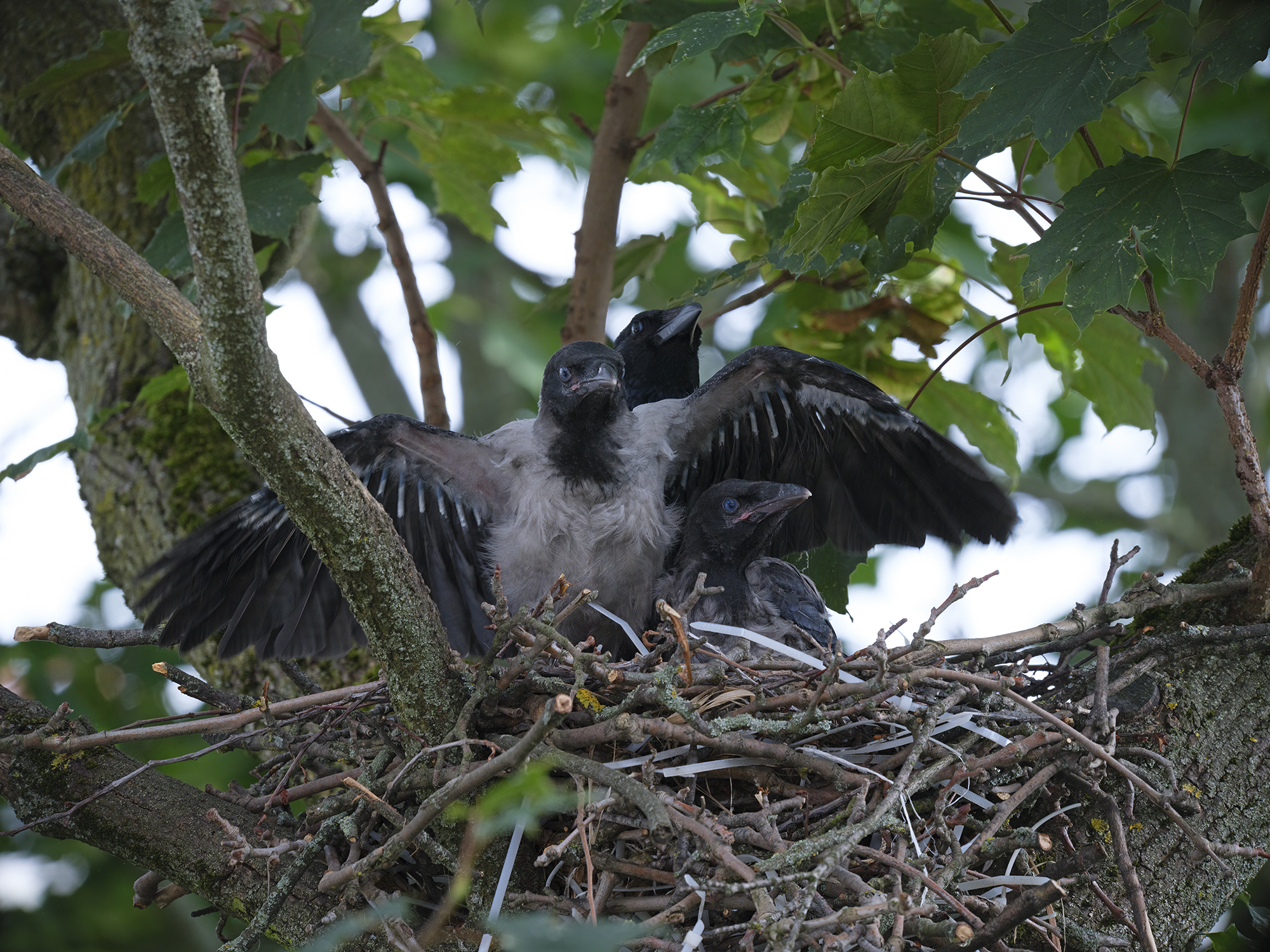 Und? Darf ich jetzt?