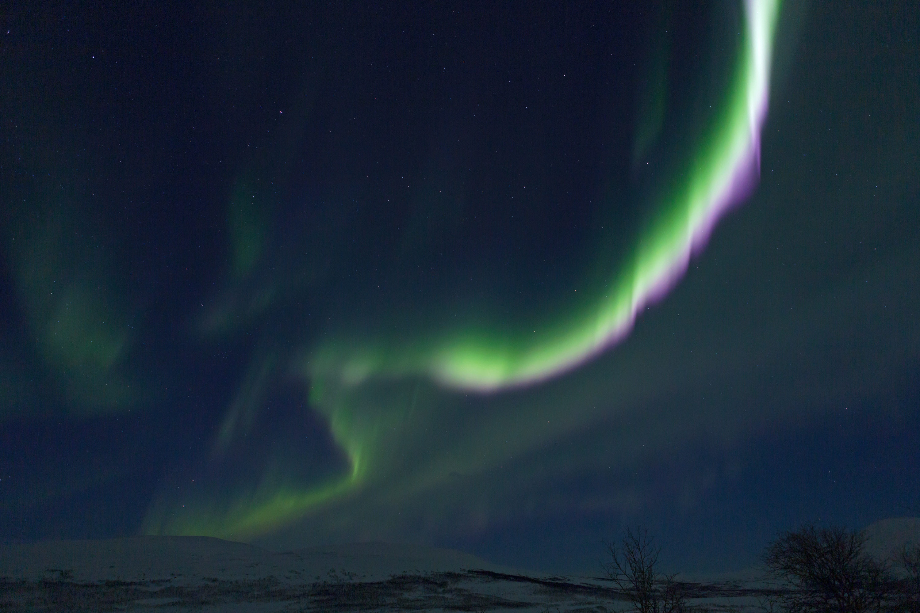 geschwungener Strich