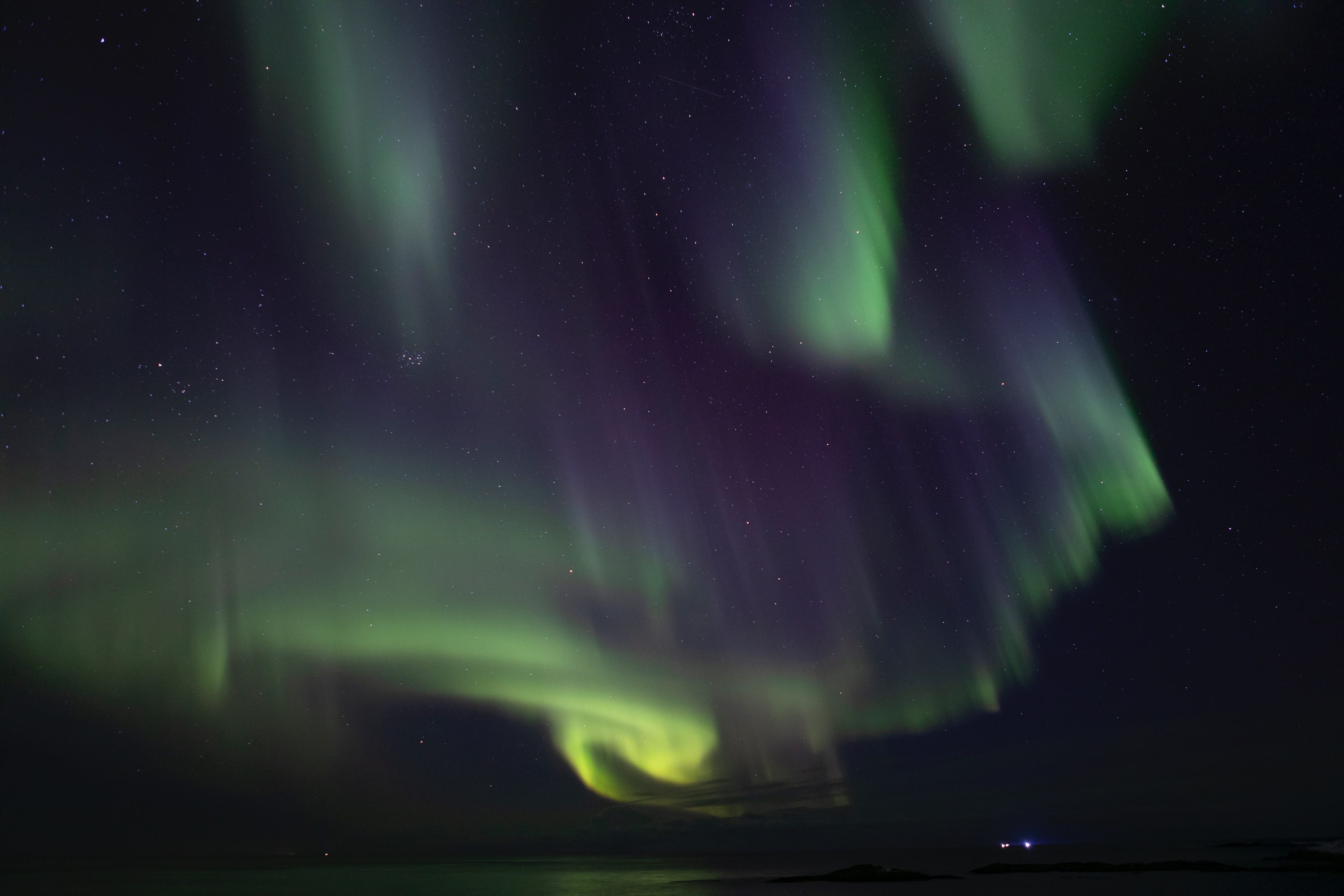 grün, lila und sogar blau