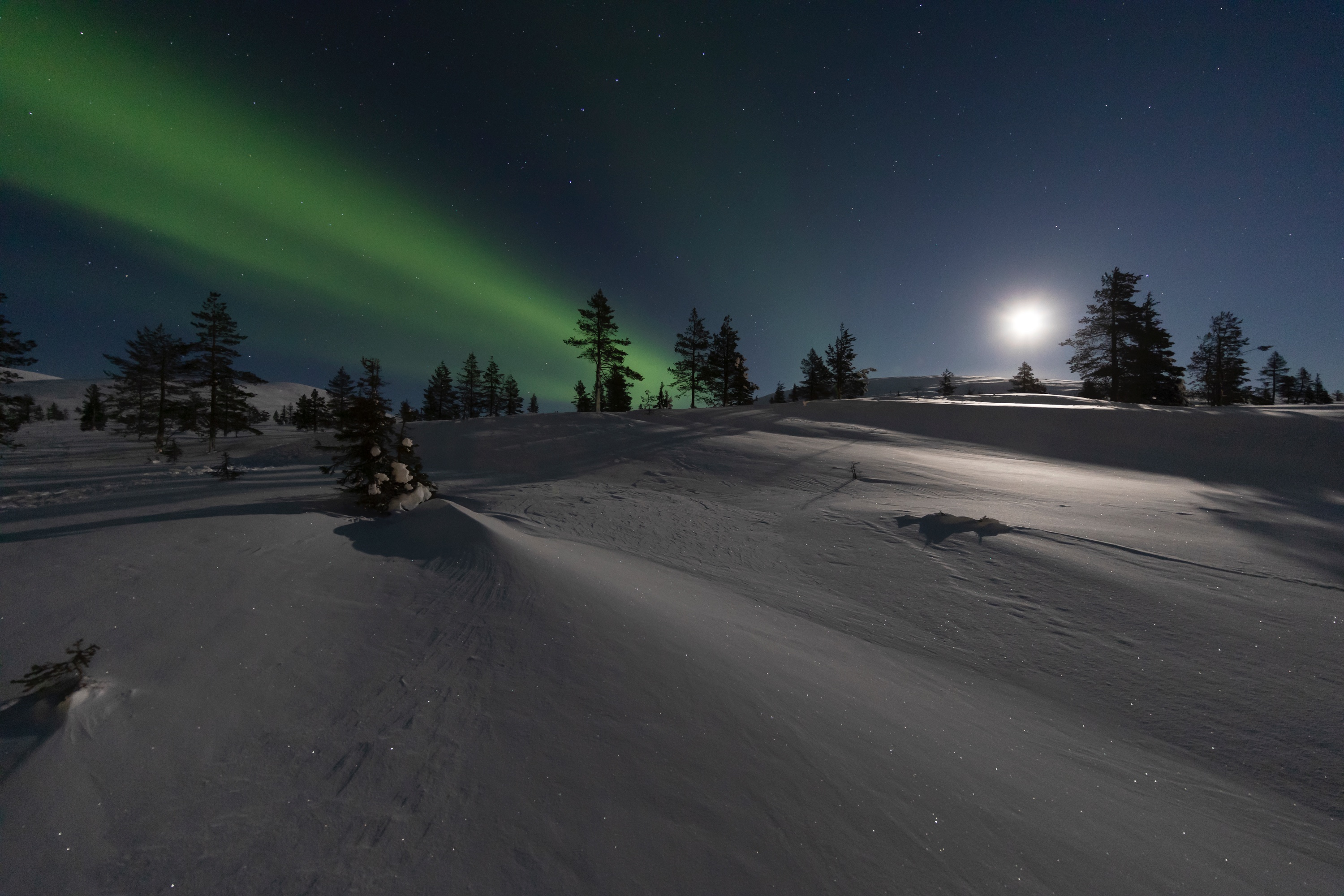 Nordlicht und aufgehender Mond