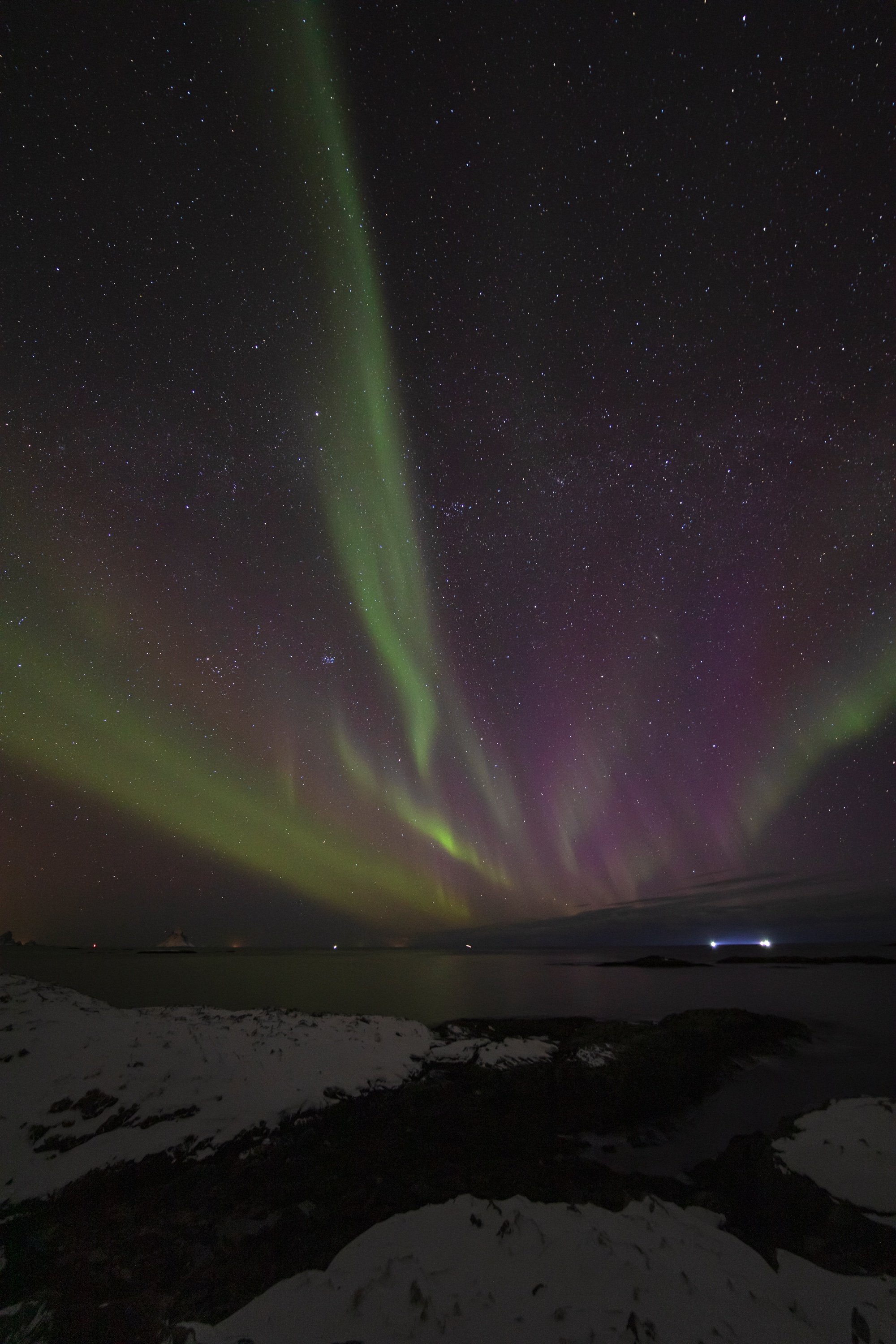 grün steigt auf, lila rahmt es ein