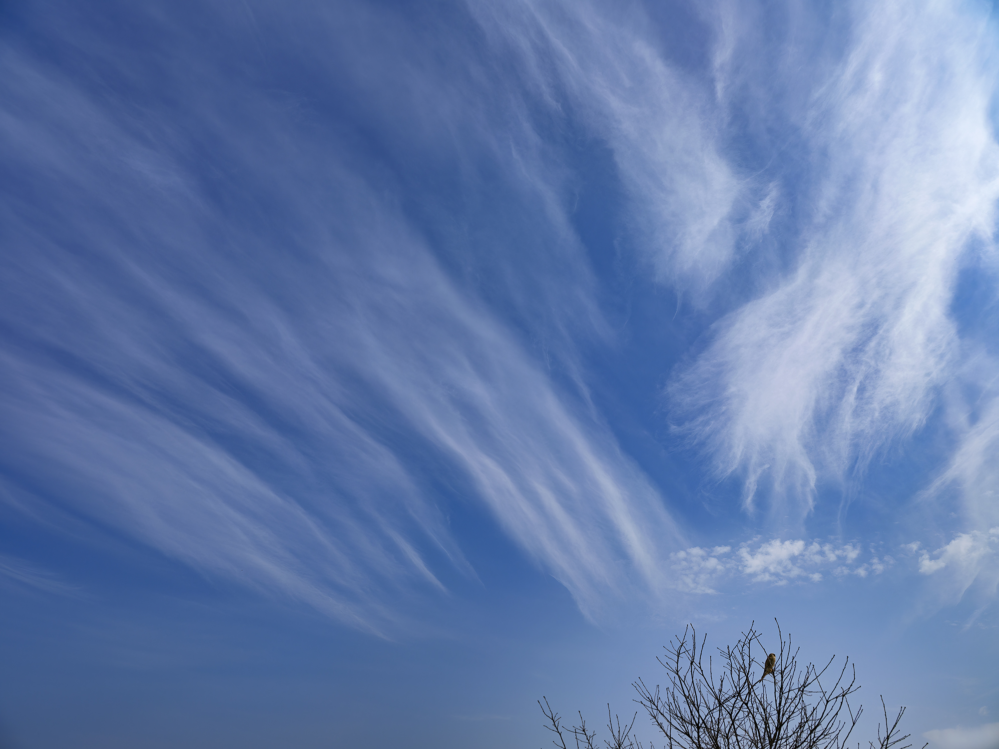 Unter einem phänomenalen ...