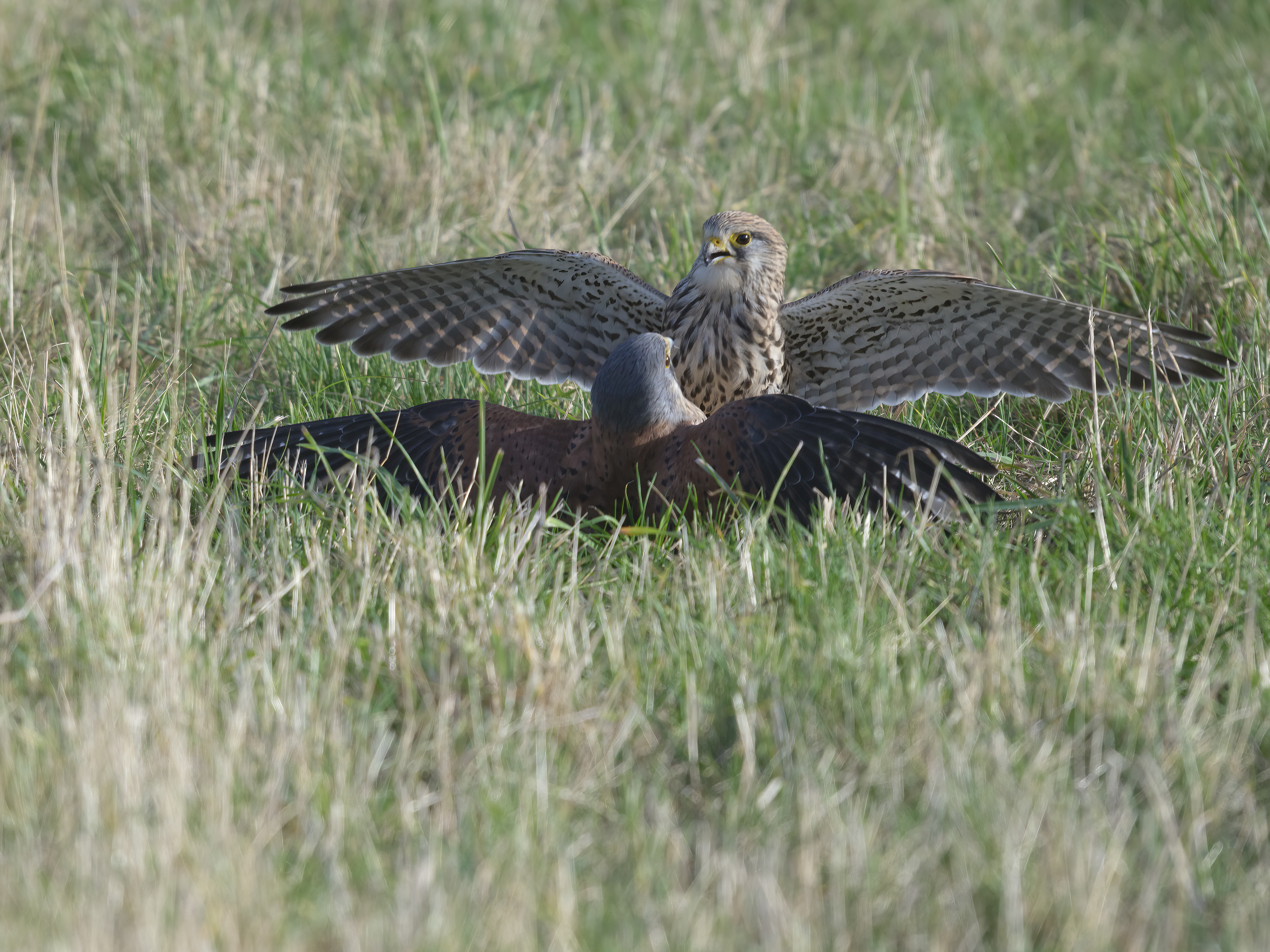 Kleine Unstimmigkeiten ...