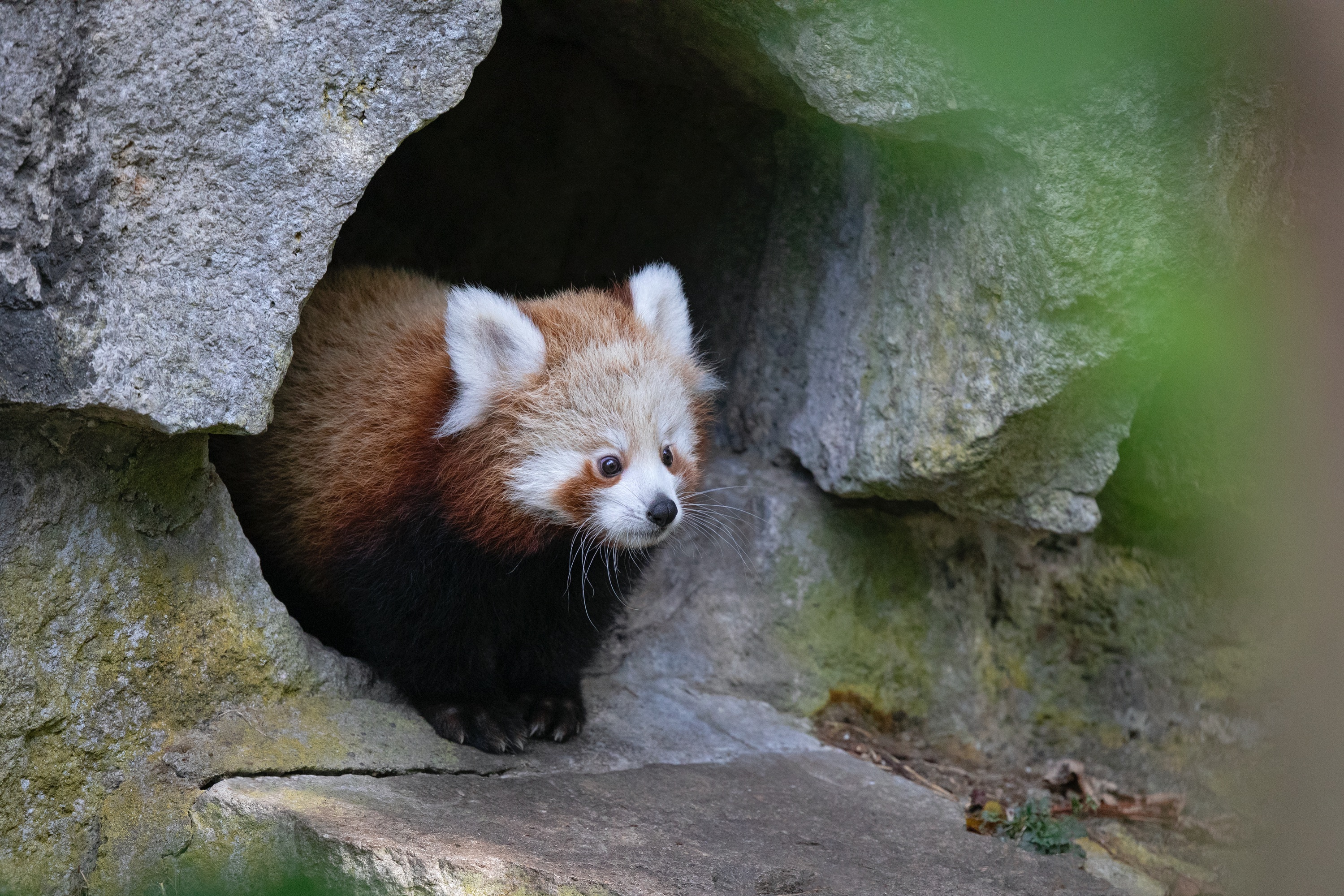 Tierpark 04.10.2020 069
