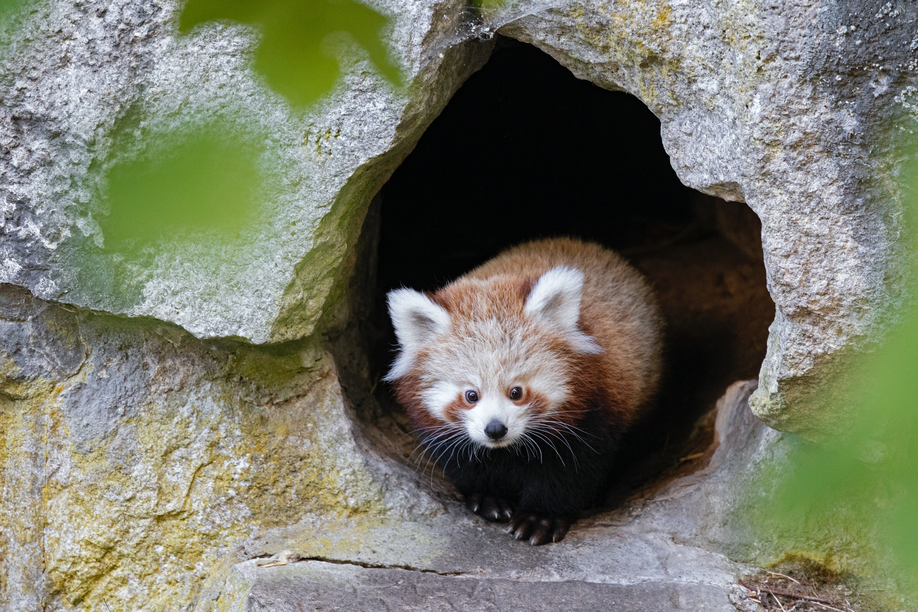Tierpark 04.10.2020 090