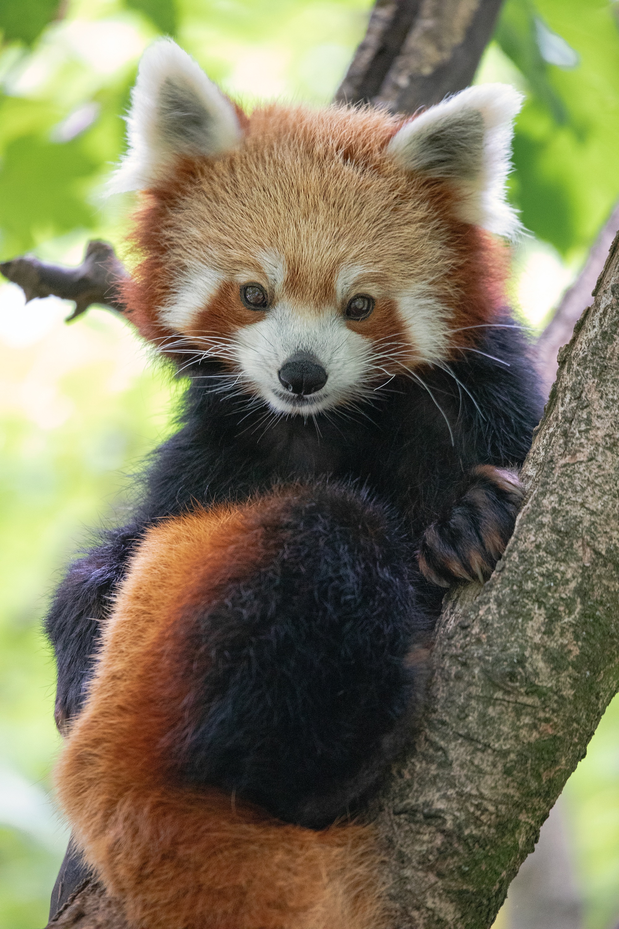 Tierpark 06.10.2020 005