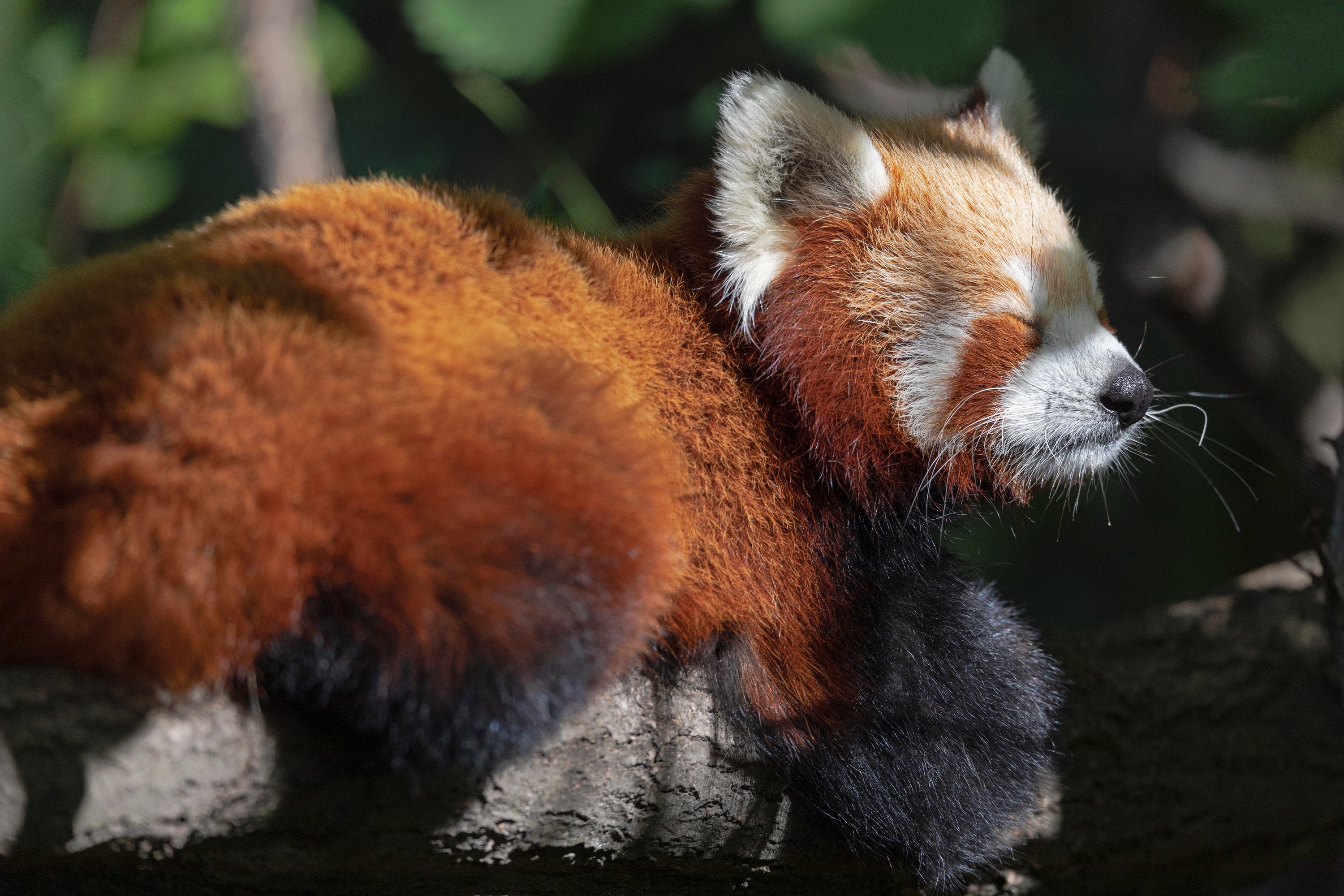 Tierpark 21.09.2020 029