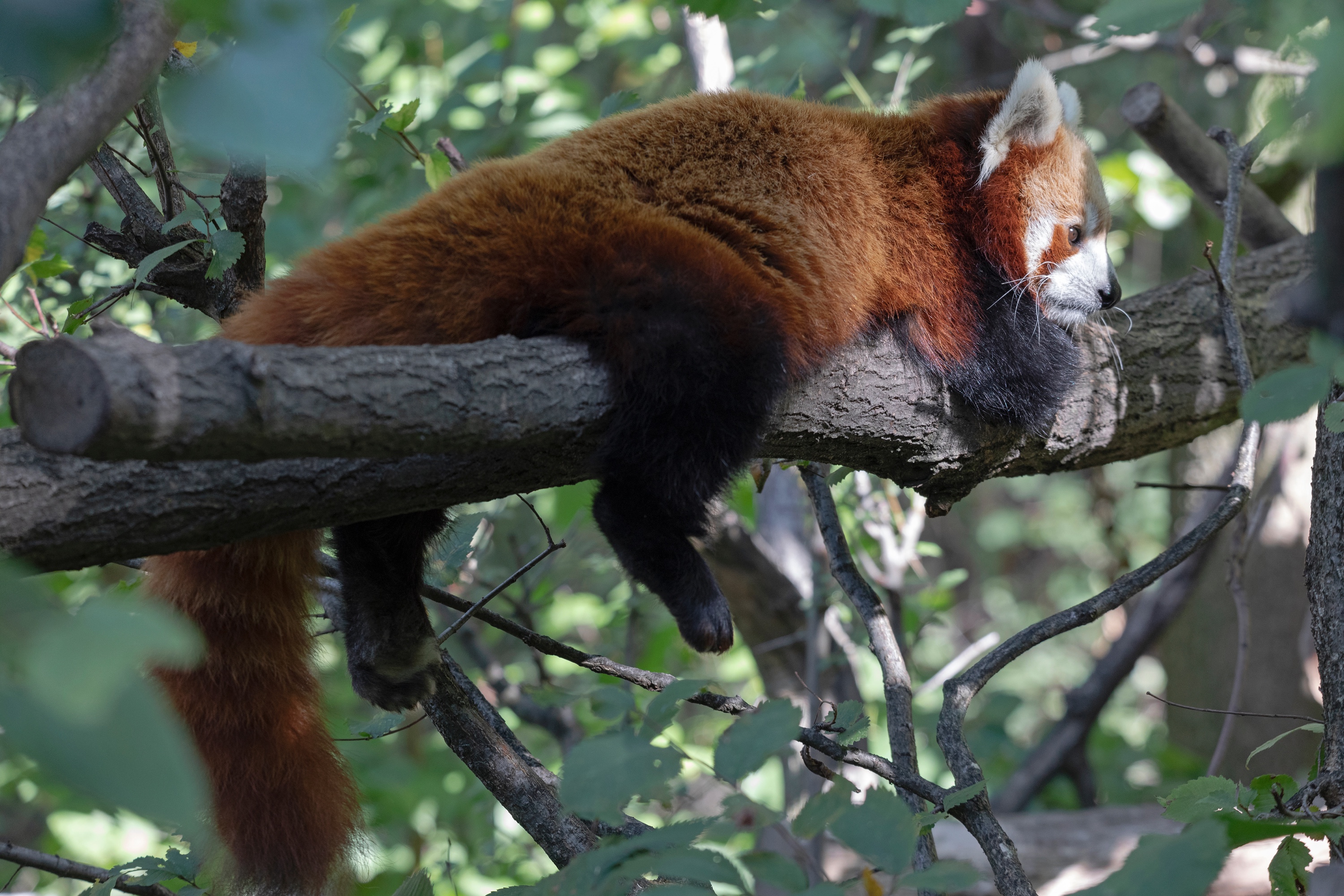 Tierpark 21.09.2020 042