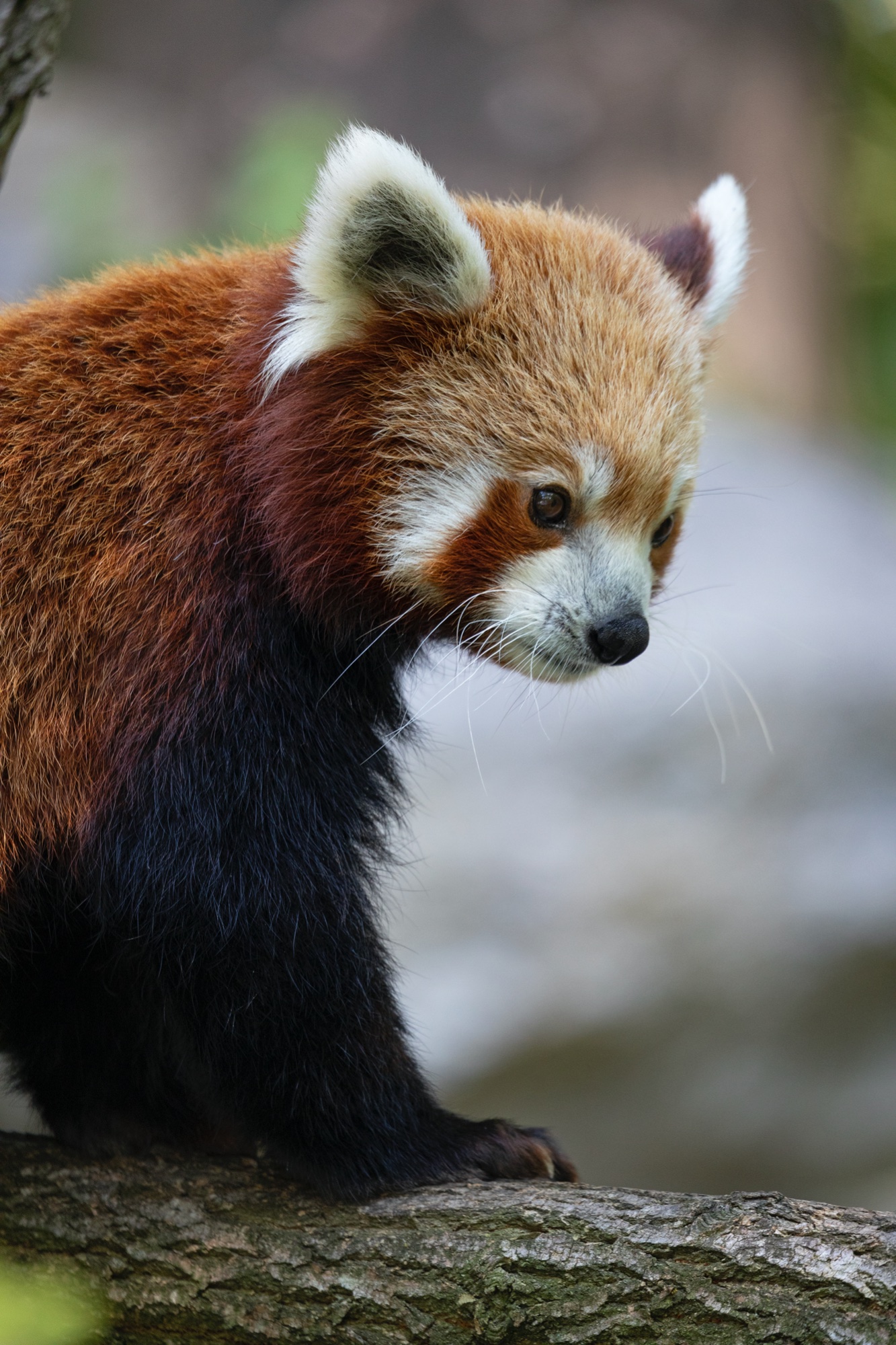 Tierpark 21.09.2020 105