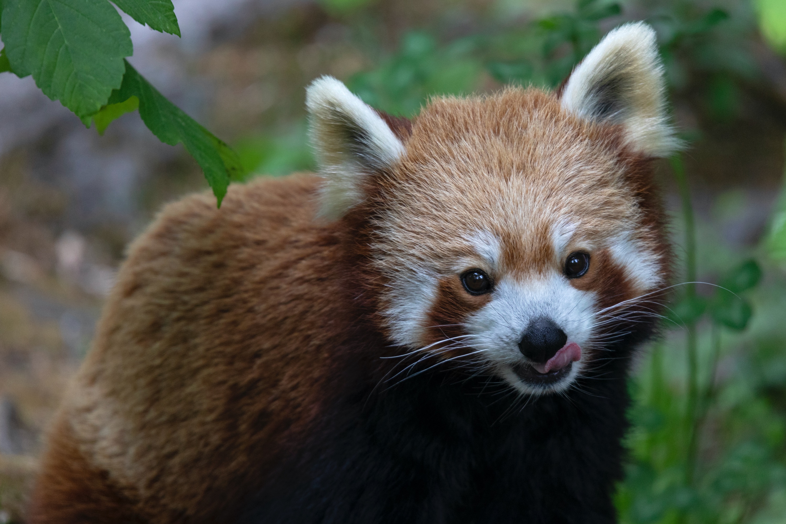 Tierpark 22.05.2020 018