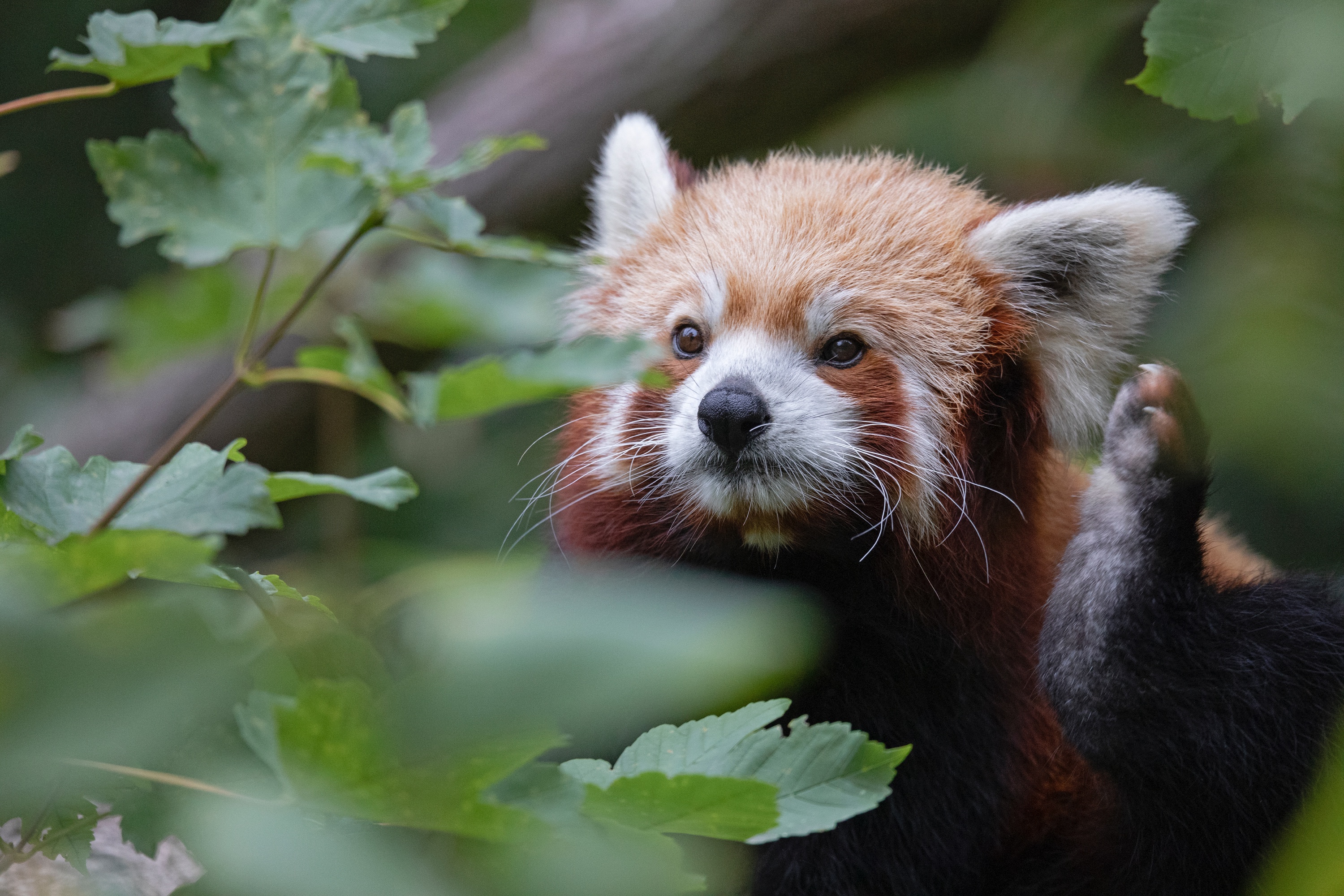 Tierpark 27.09.2020 051