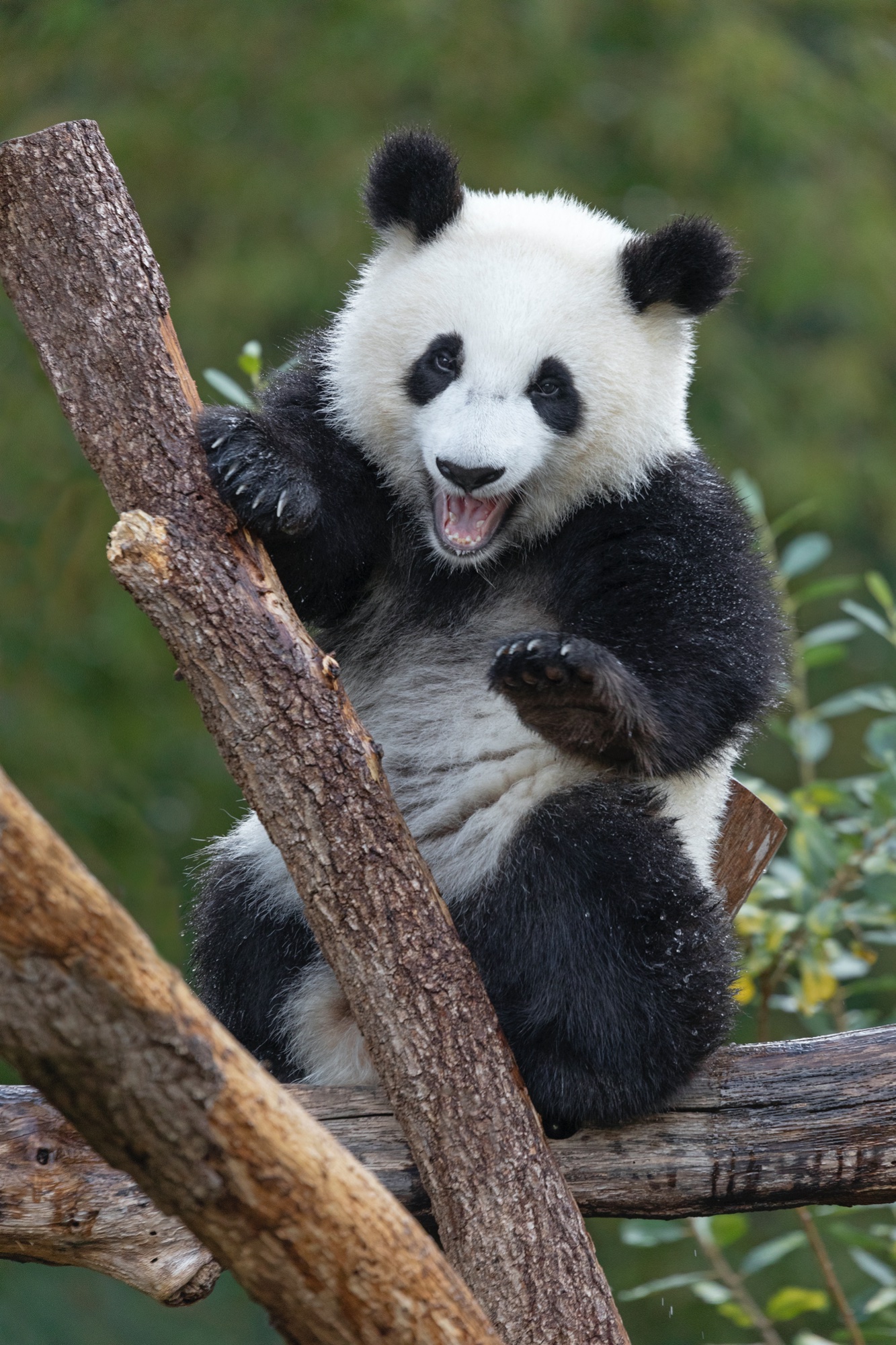 Zoo 07.10.2020 313 A