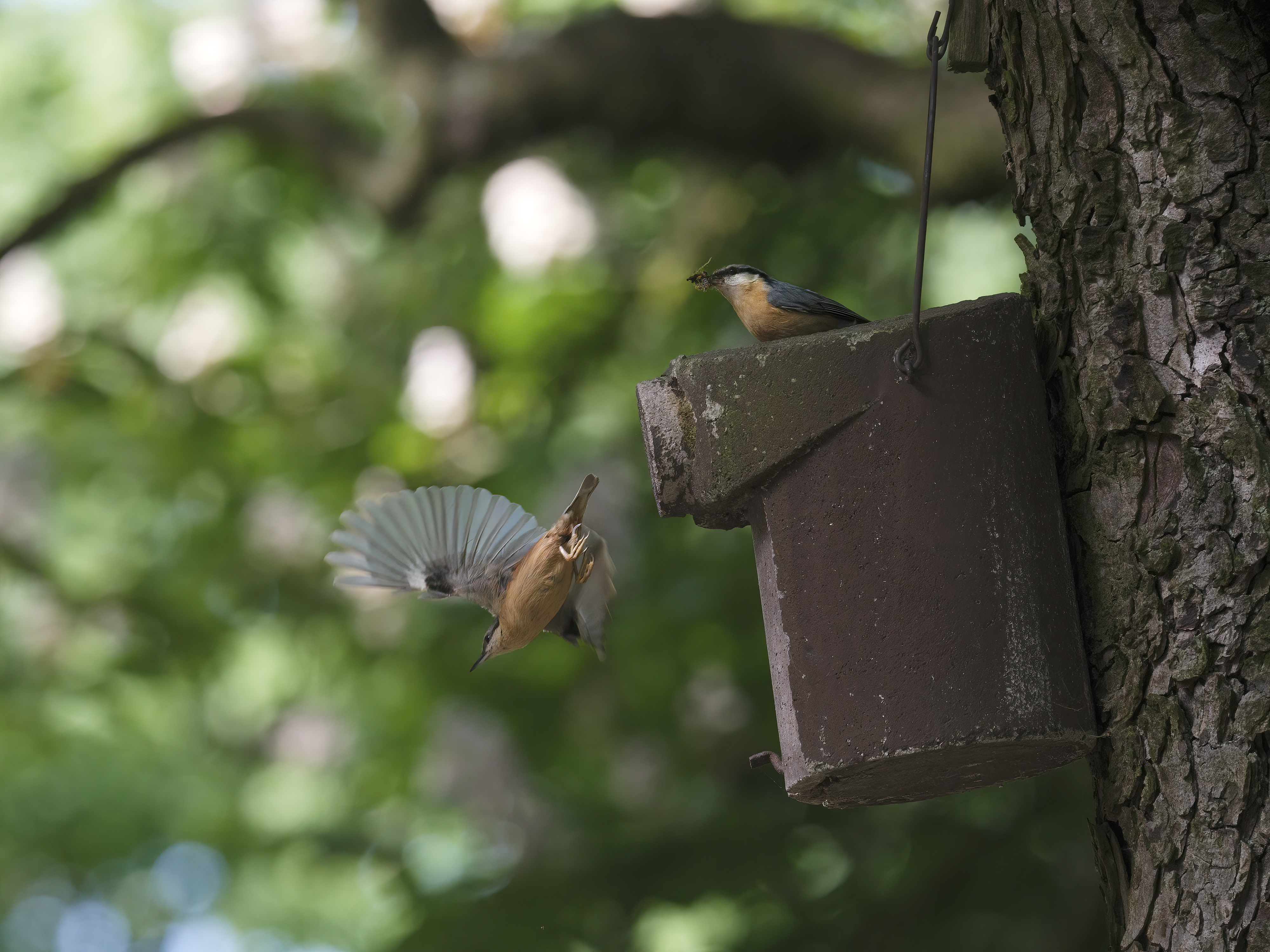 Ein kommen und gehen ...