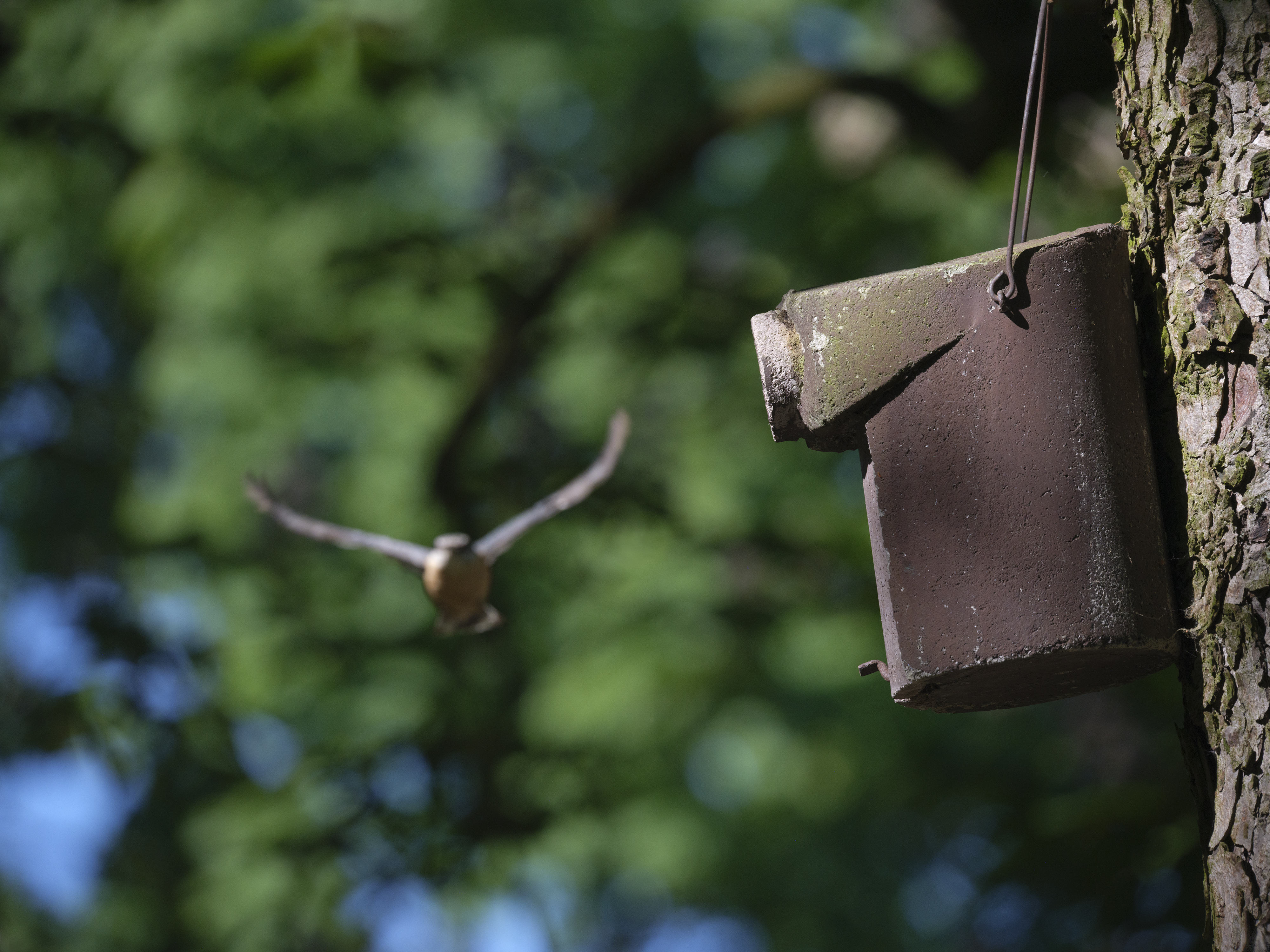 Friedhof 09.05.2025 124