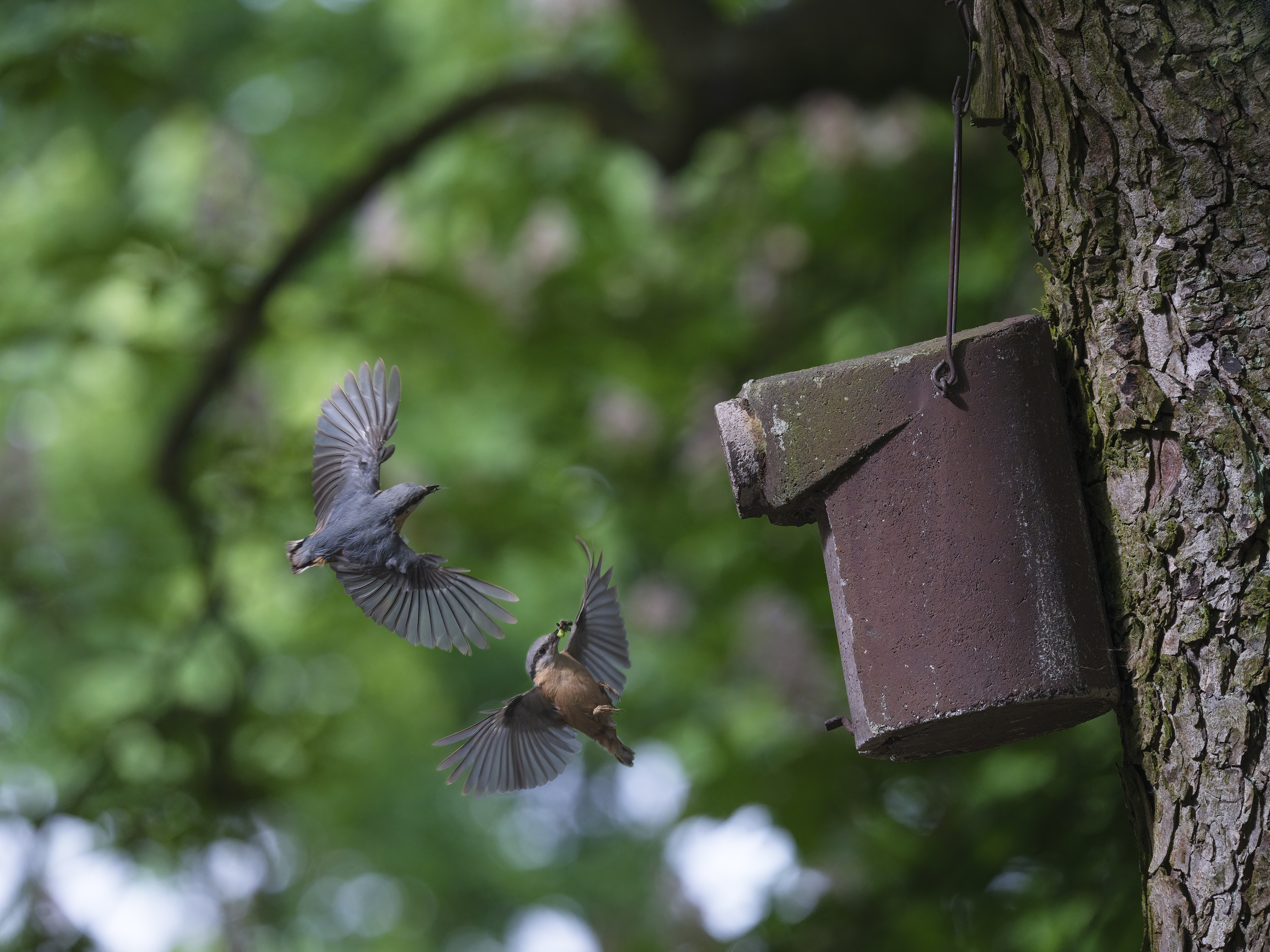 Gedränge an der ...