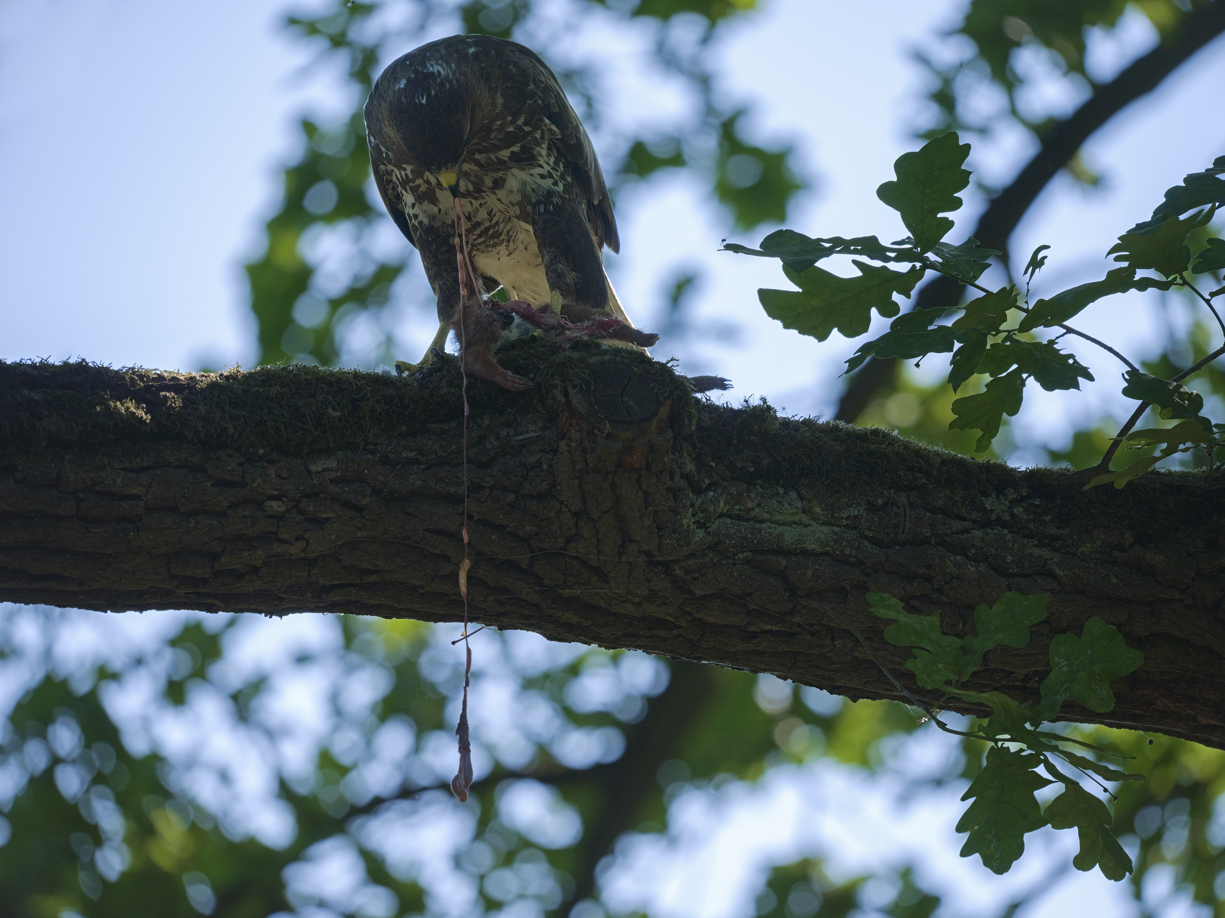 Wenn das Essen entgleitet.