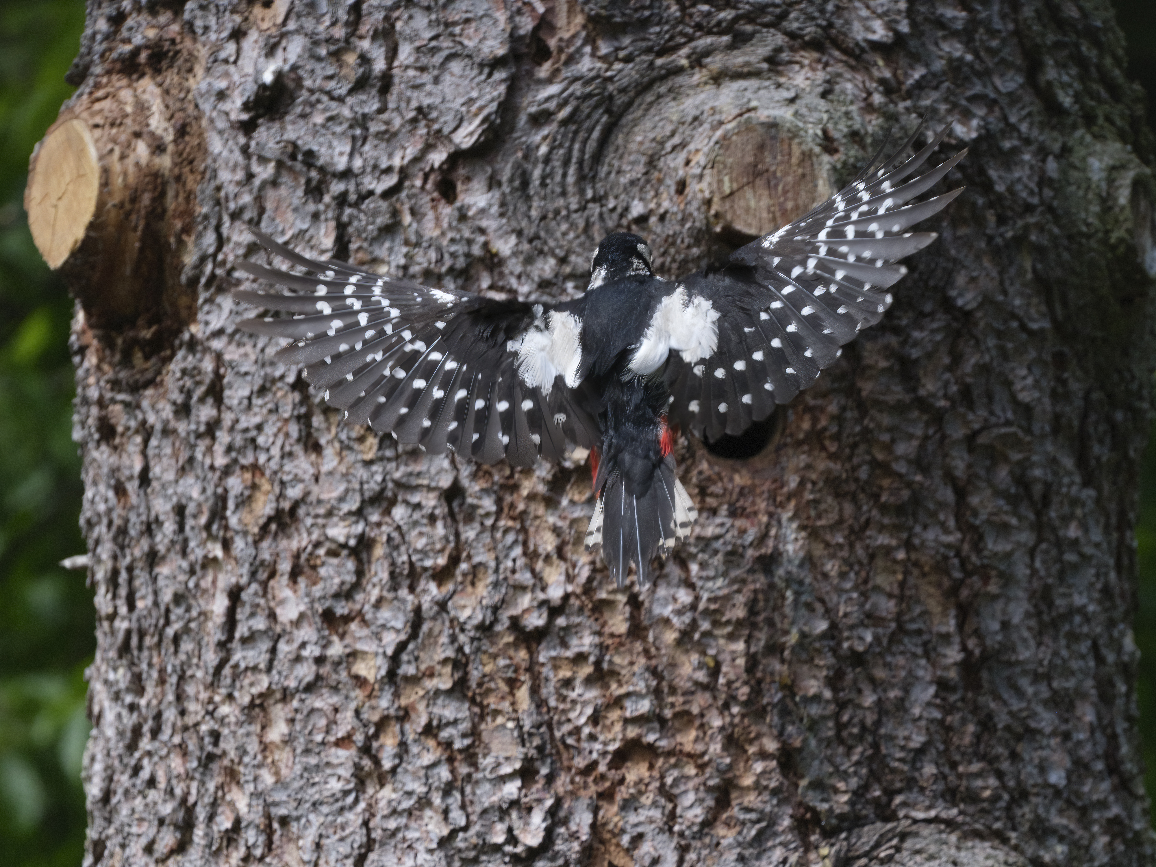 Kurz vor der Landung