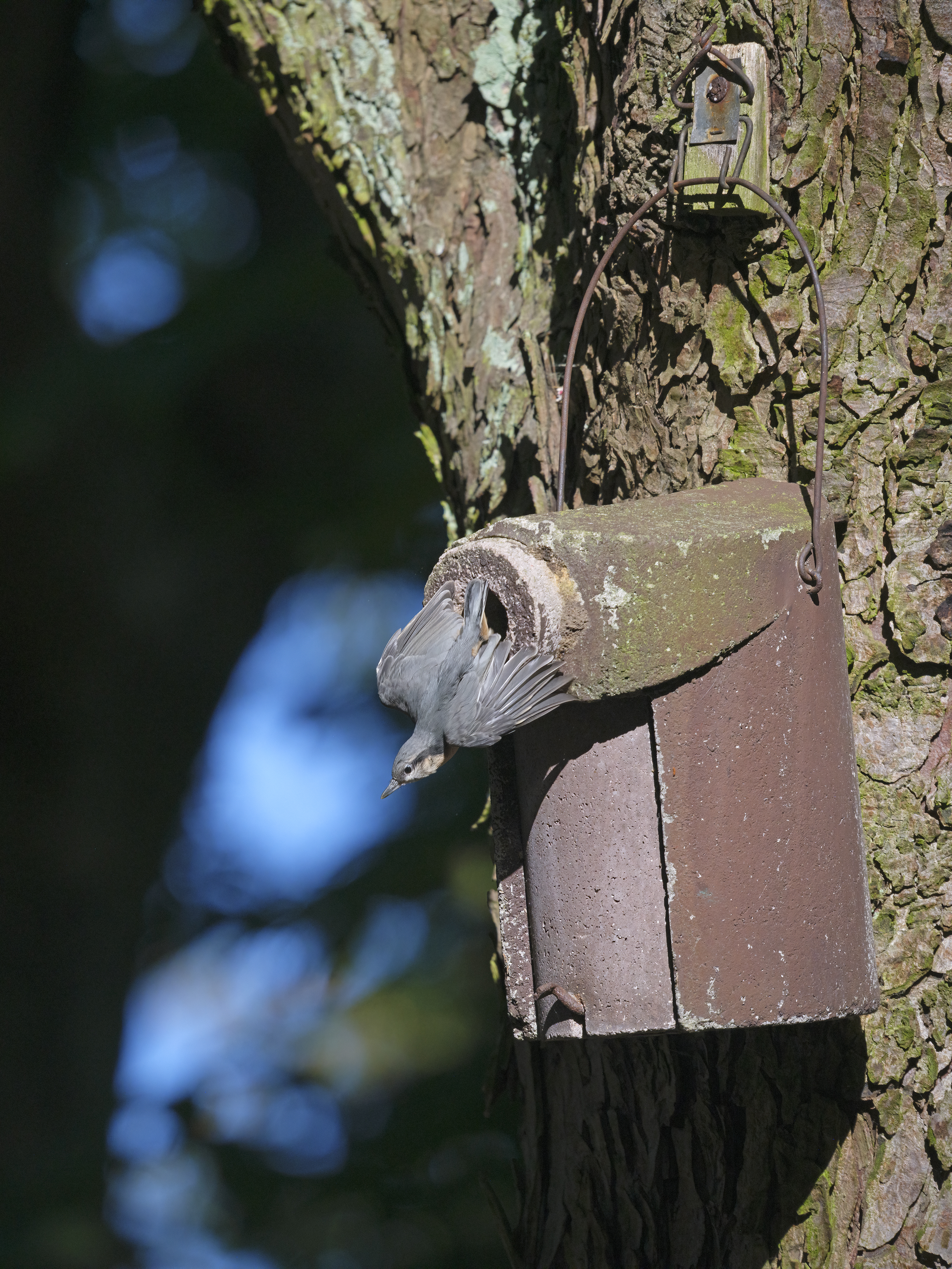 EIN GROßER MOMENT ...