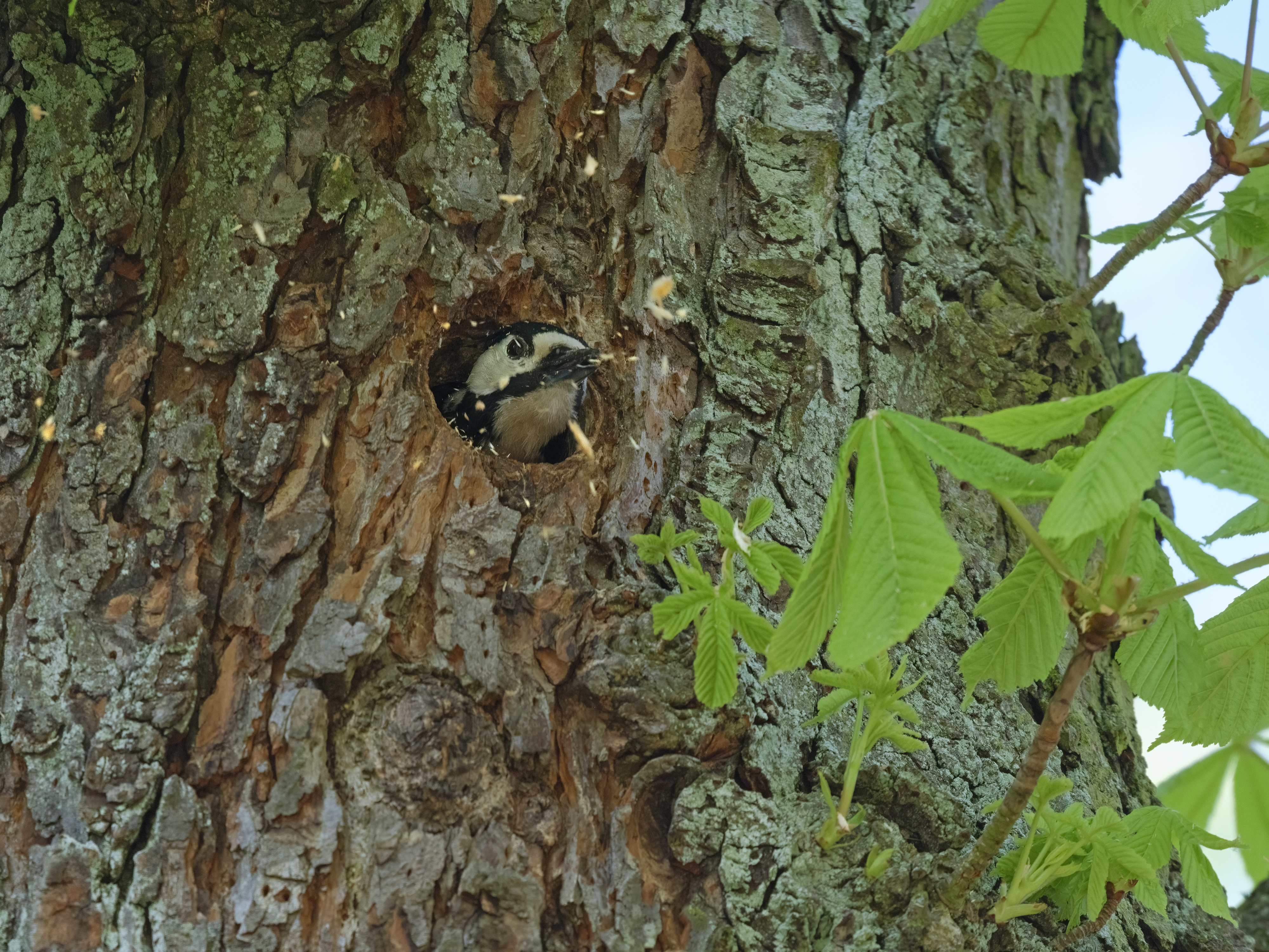 Nach dem Hämmern ...
