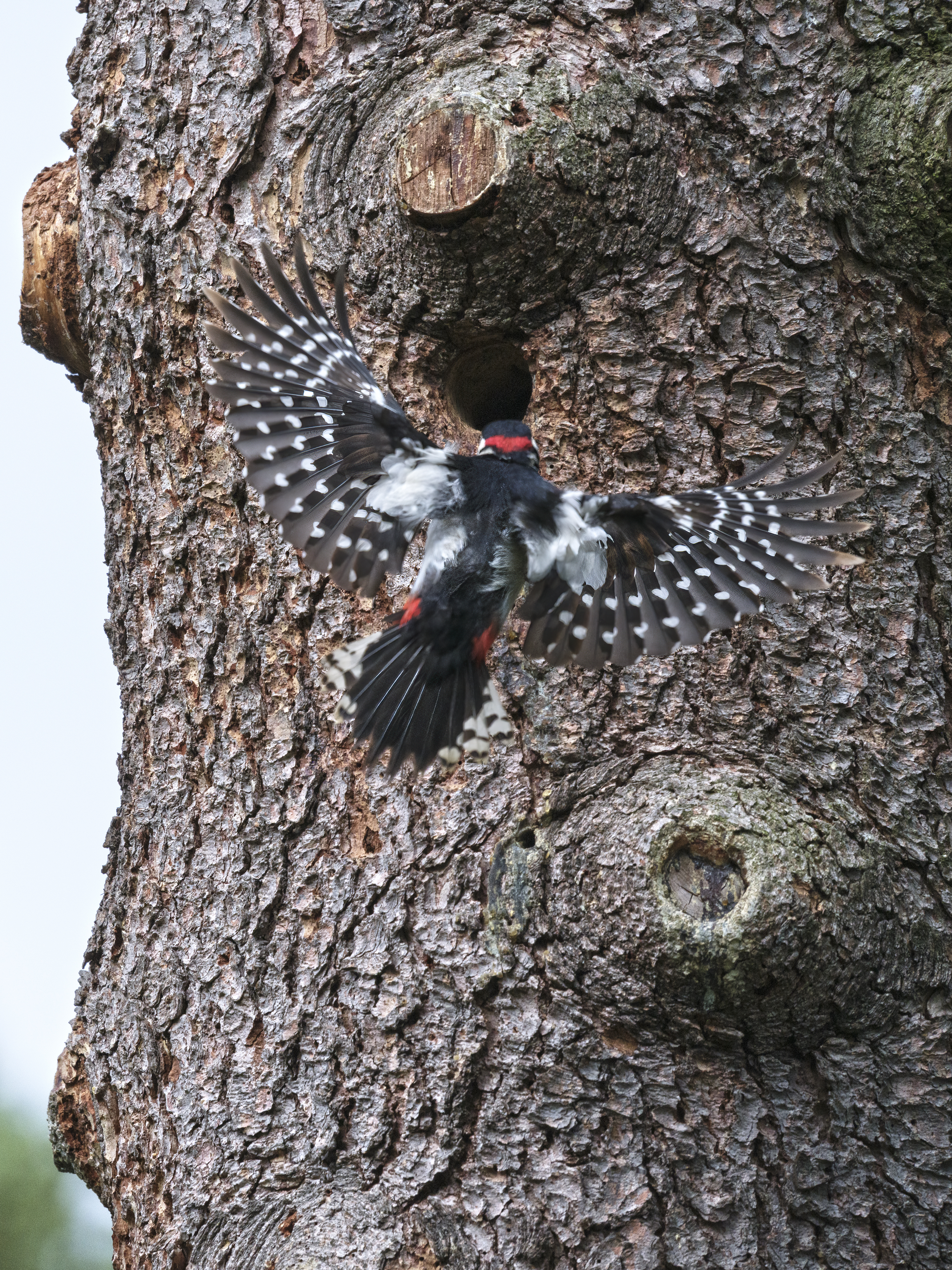 Friedhof 16.05.2025 021