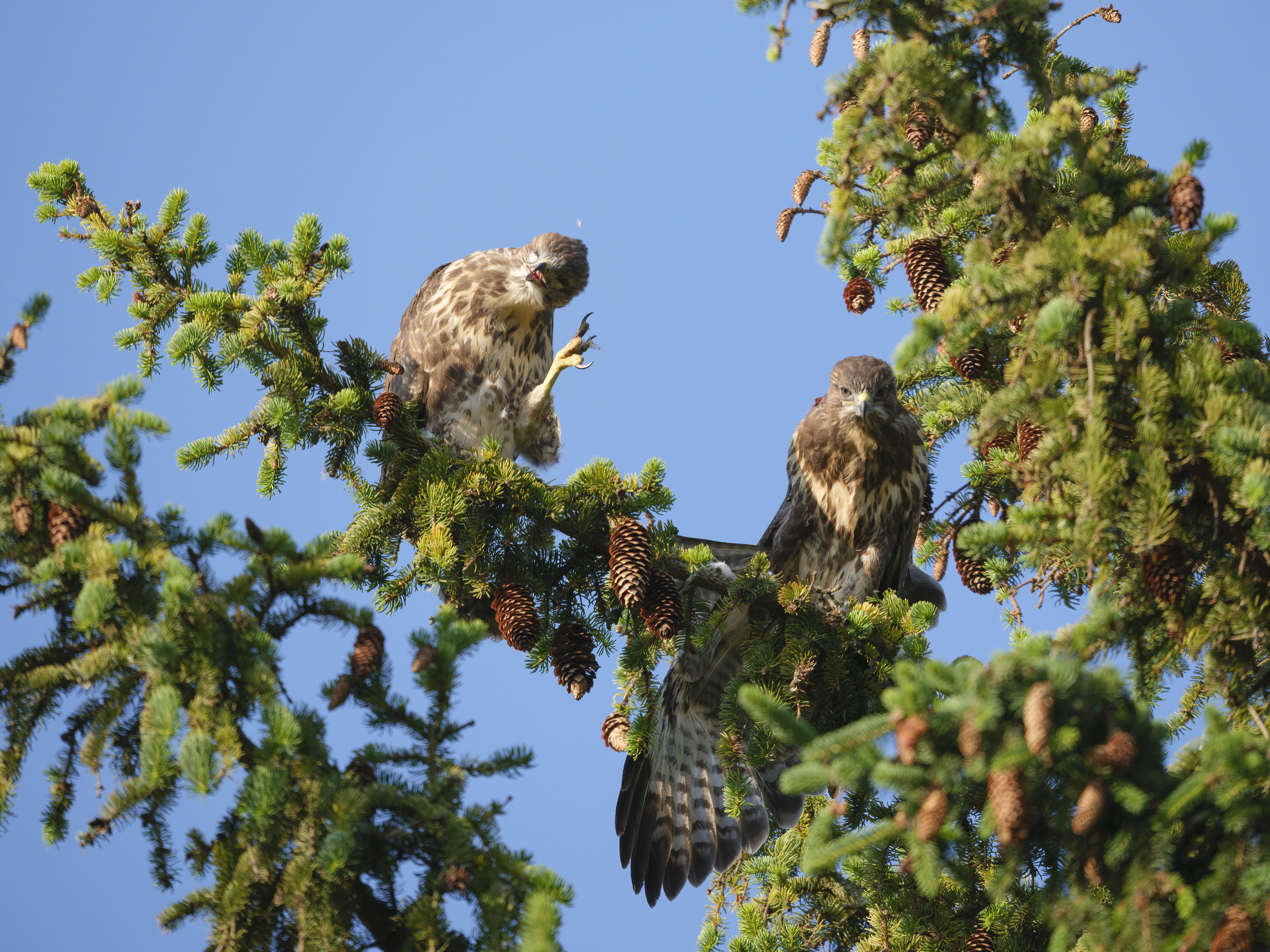 Morgens, 7:50 Uhr bei ...