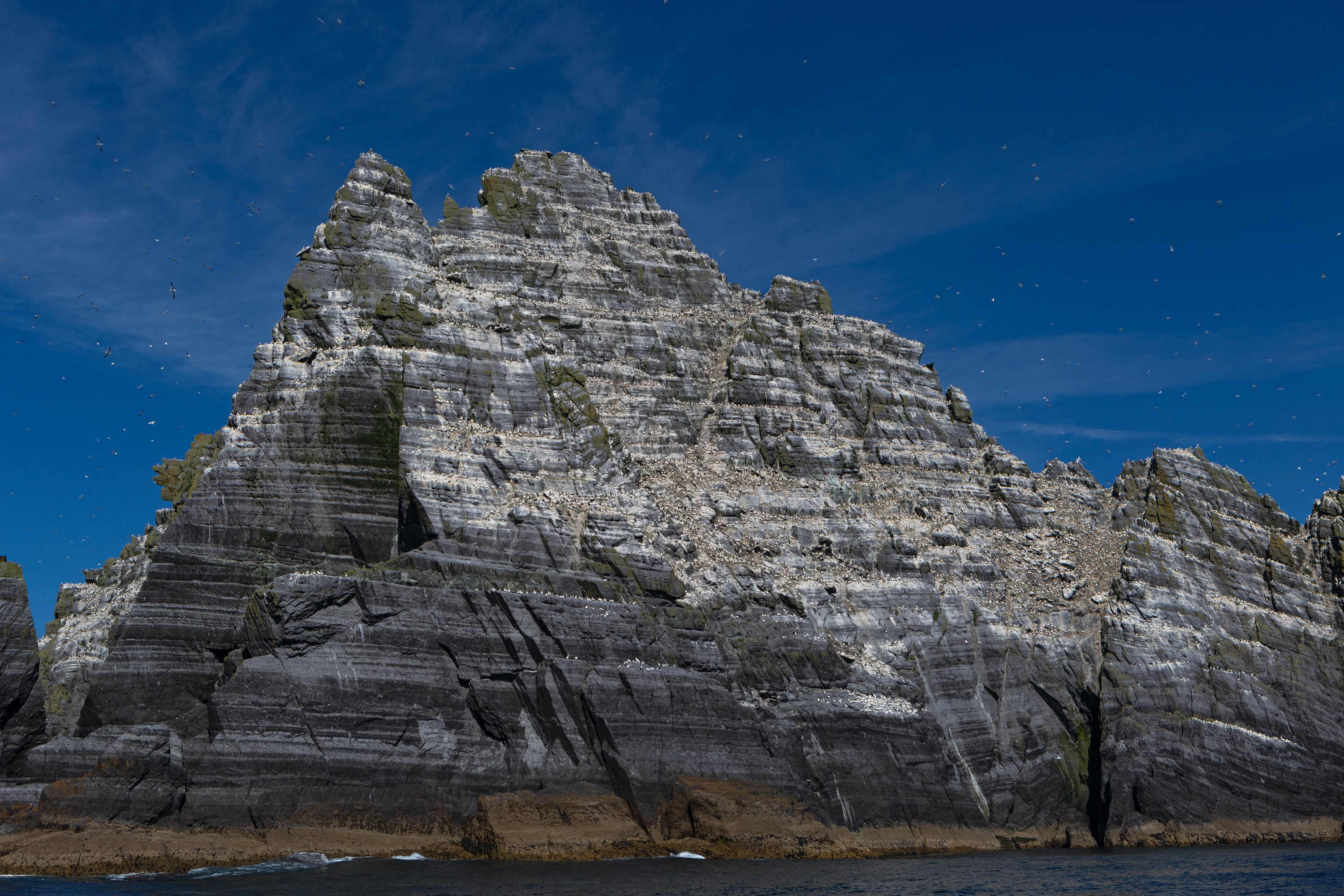 Vogelinsel Little Skellig