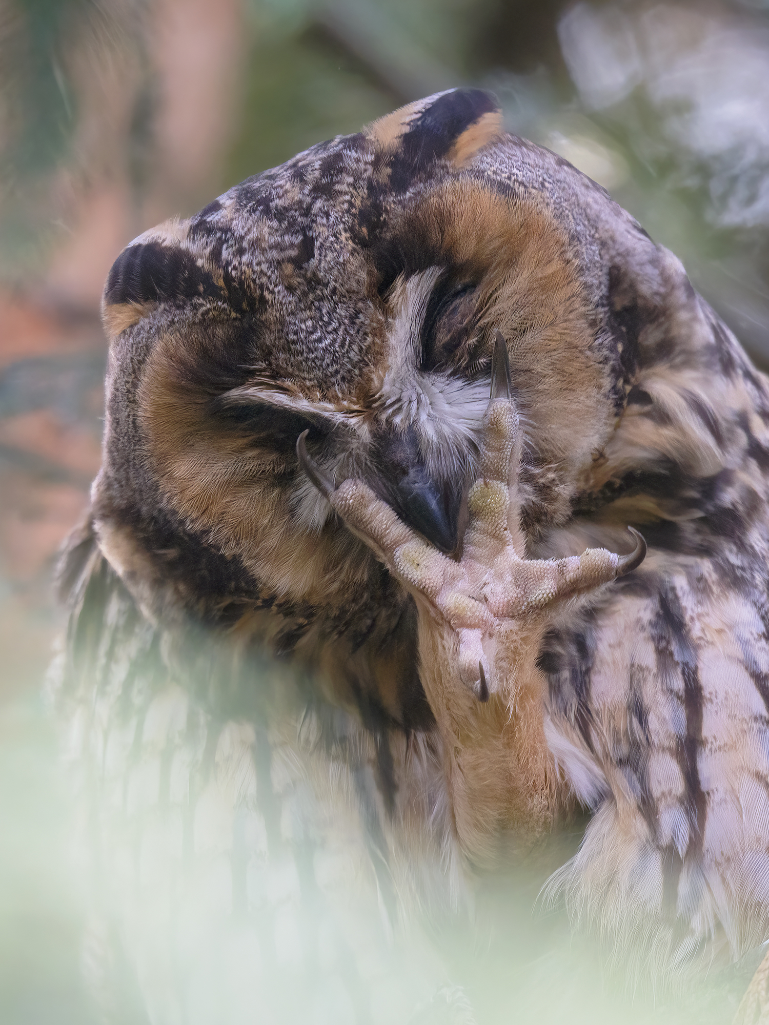 Mit diesen großen ...