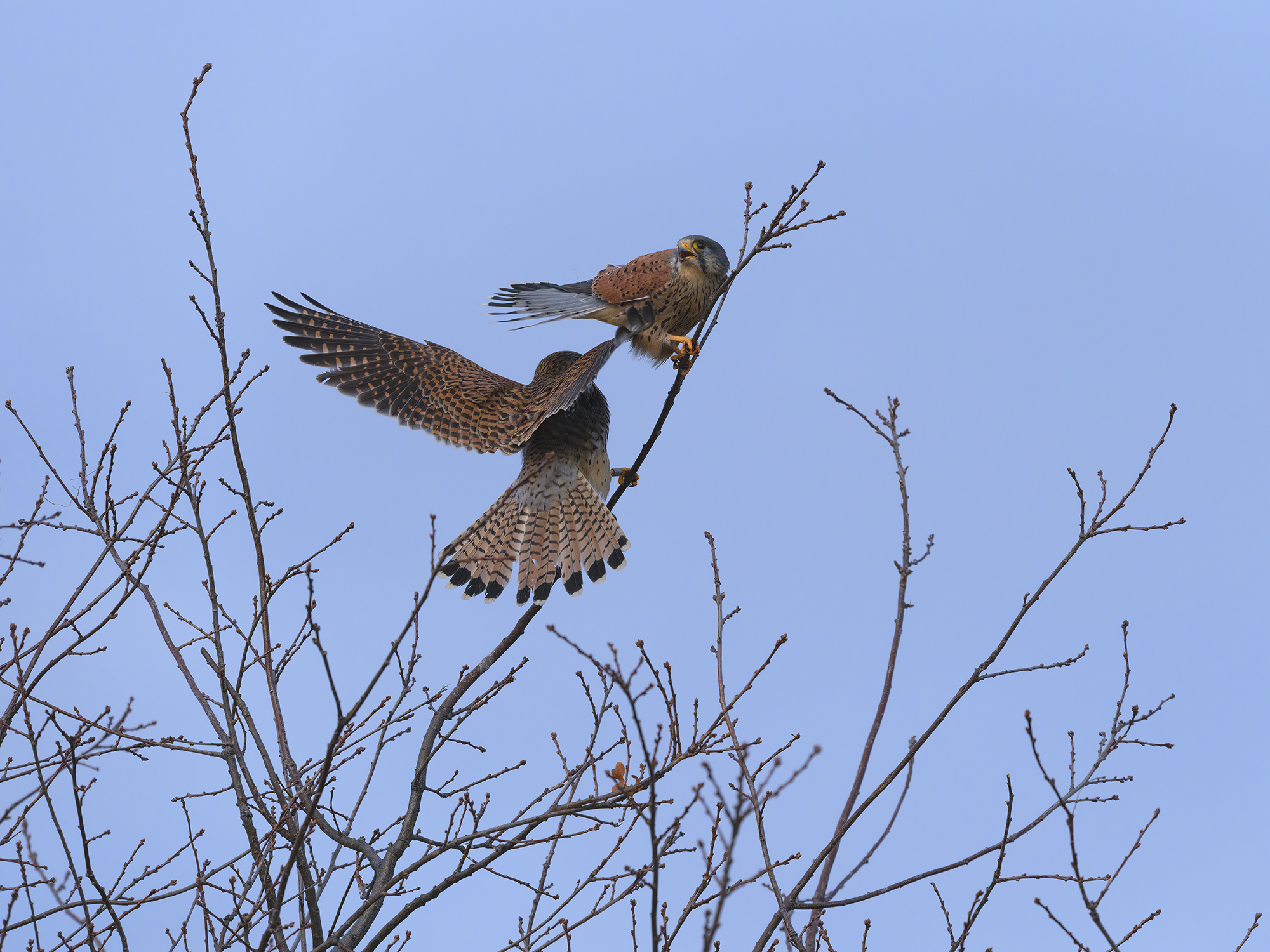 Na du, darf ich mich zu dir setzen?