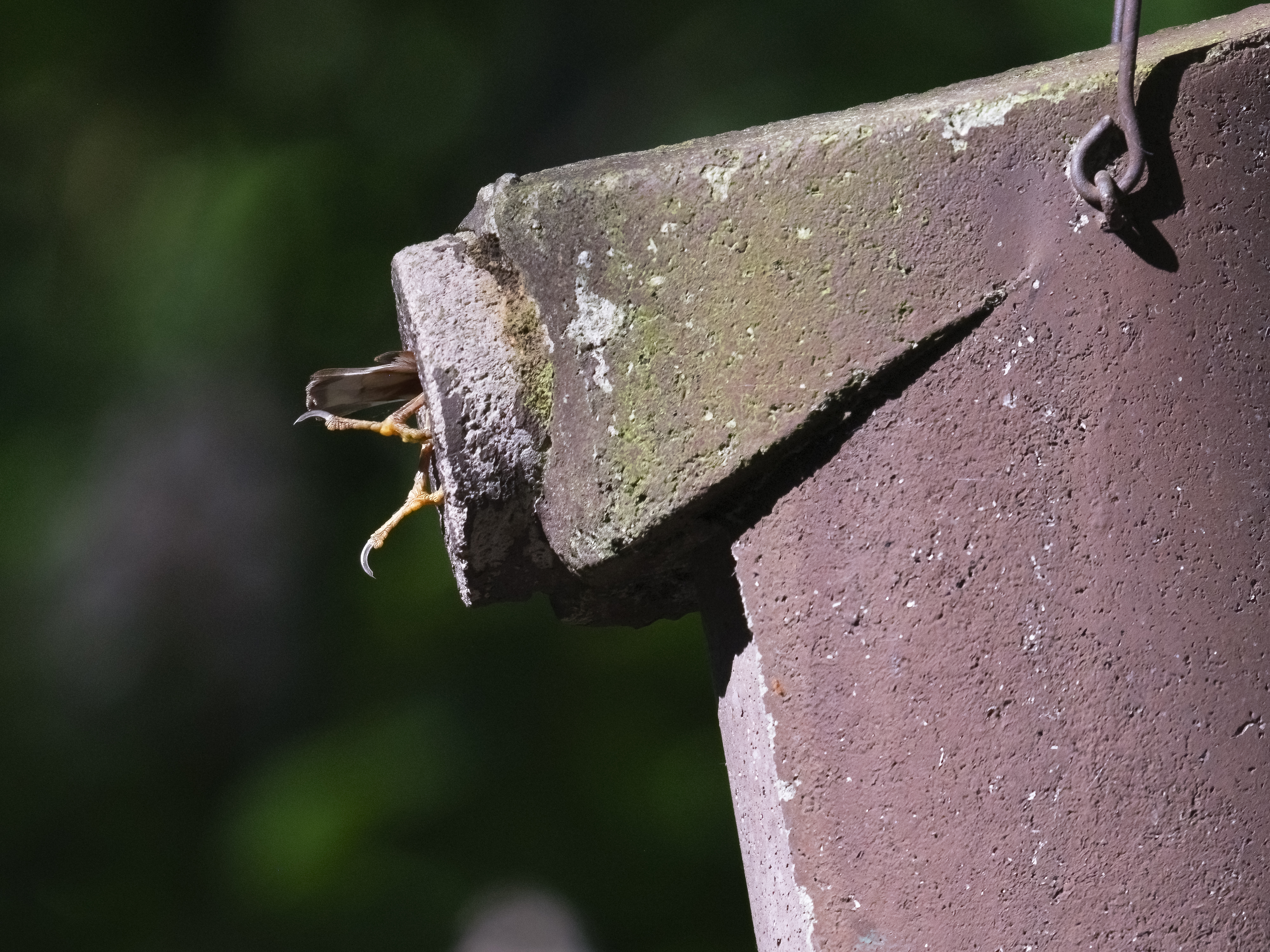 Nächstes Mal eine ...