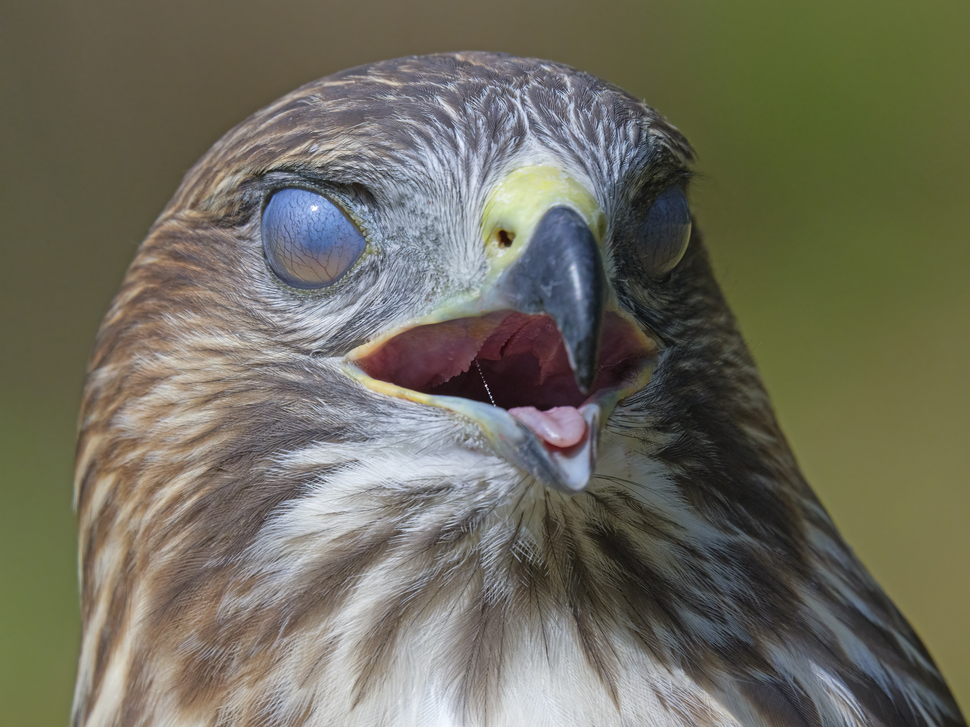 Das sind nicht die ...