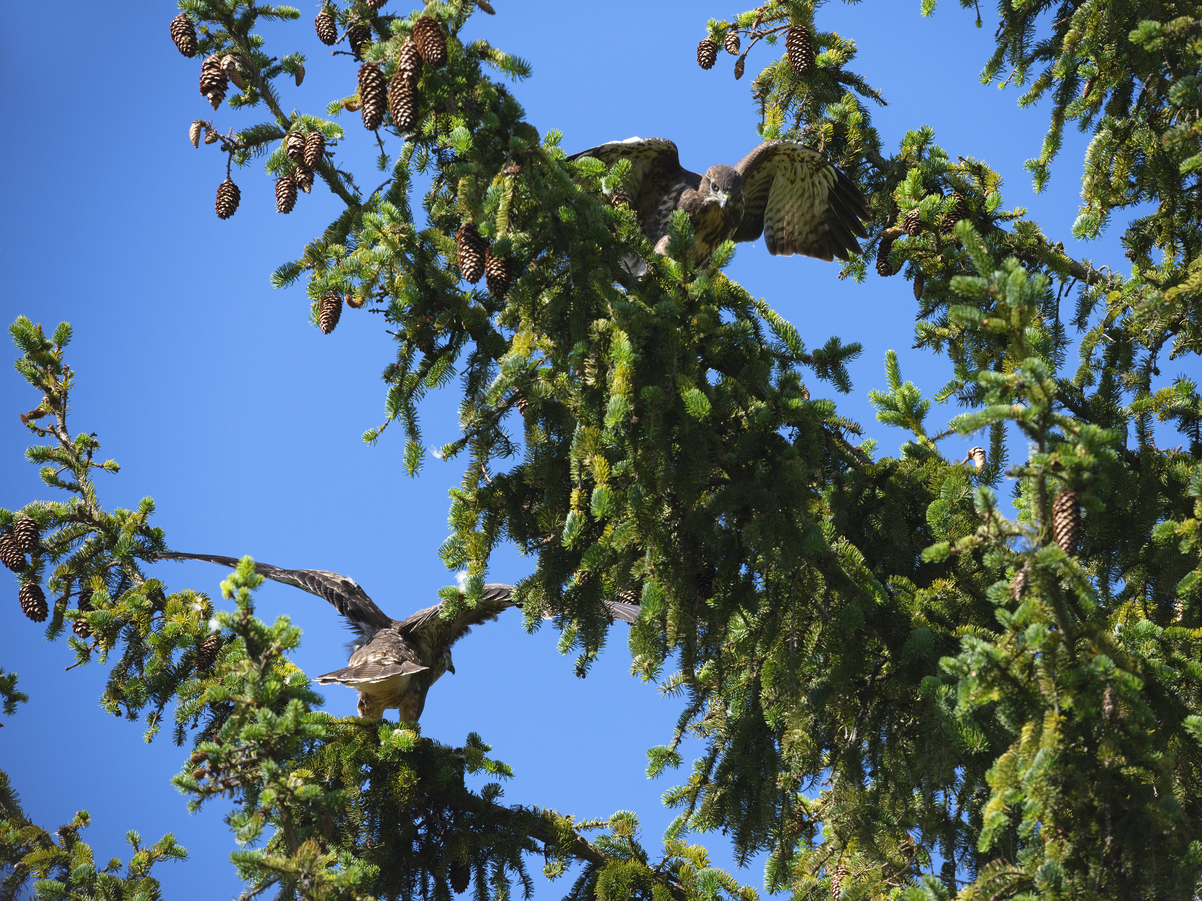 Heute war ich sehr ...
