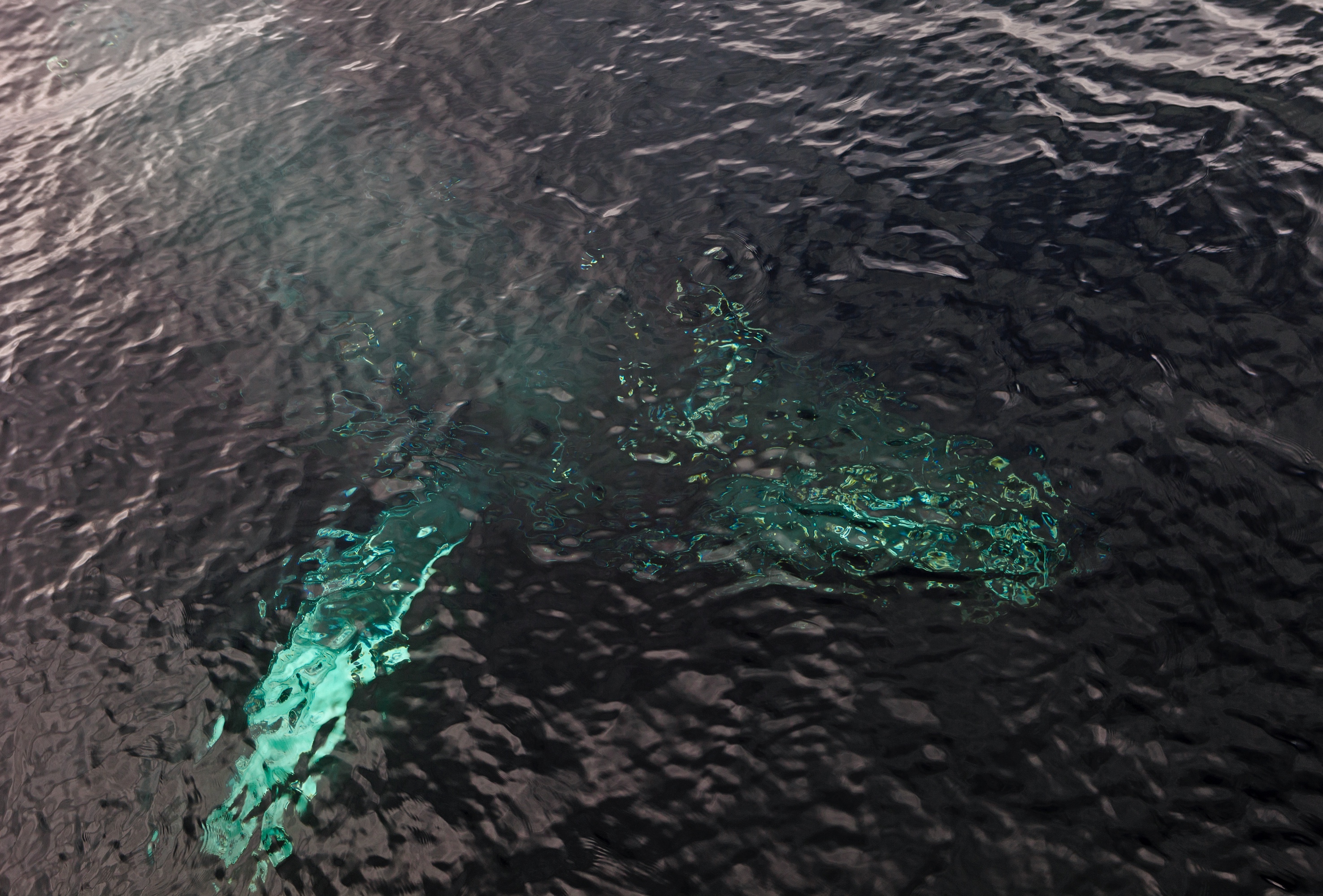 unter der Wasseroberfläche