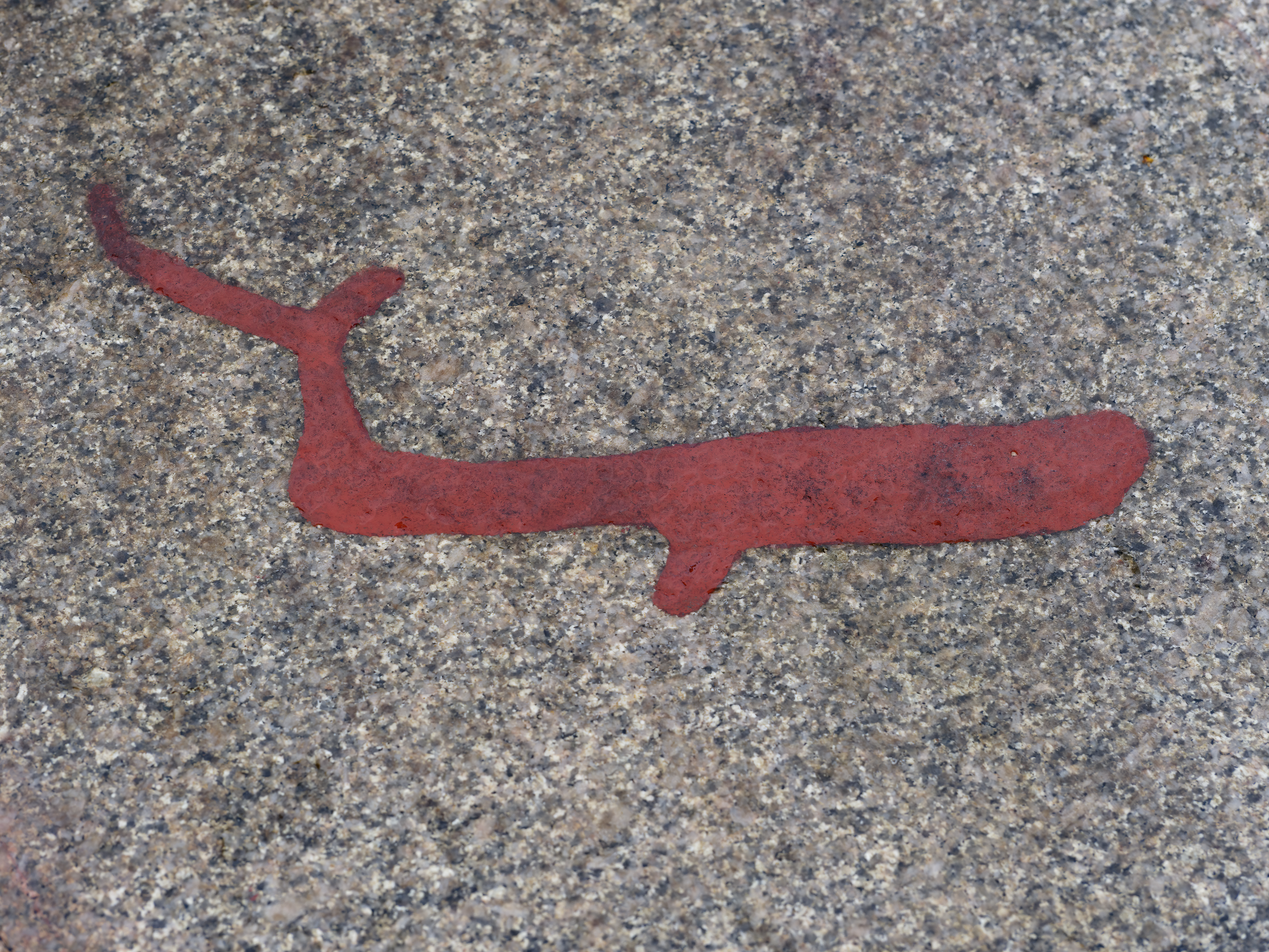 Prähistorische Felszeichnung ...