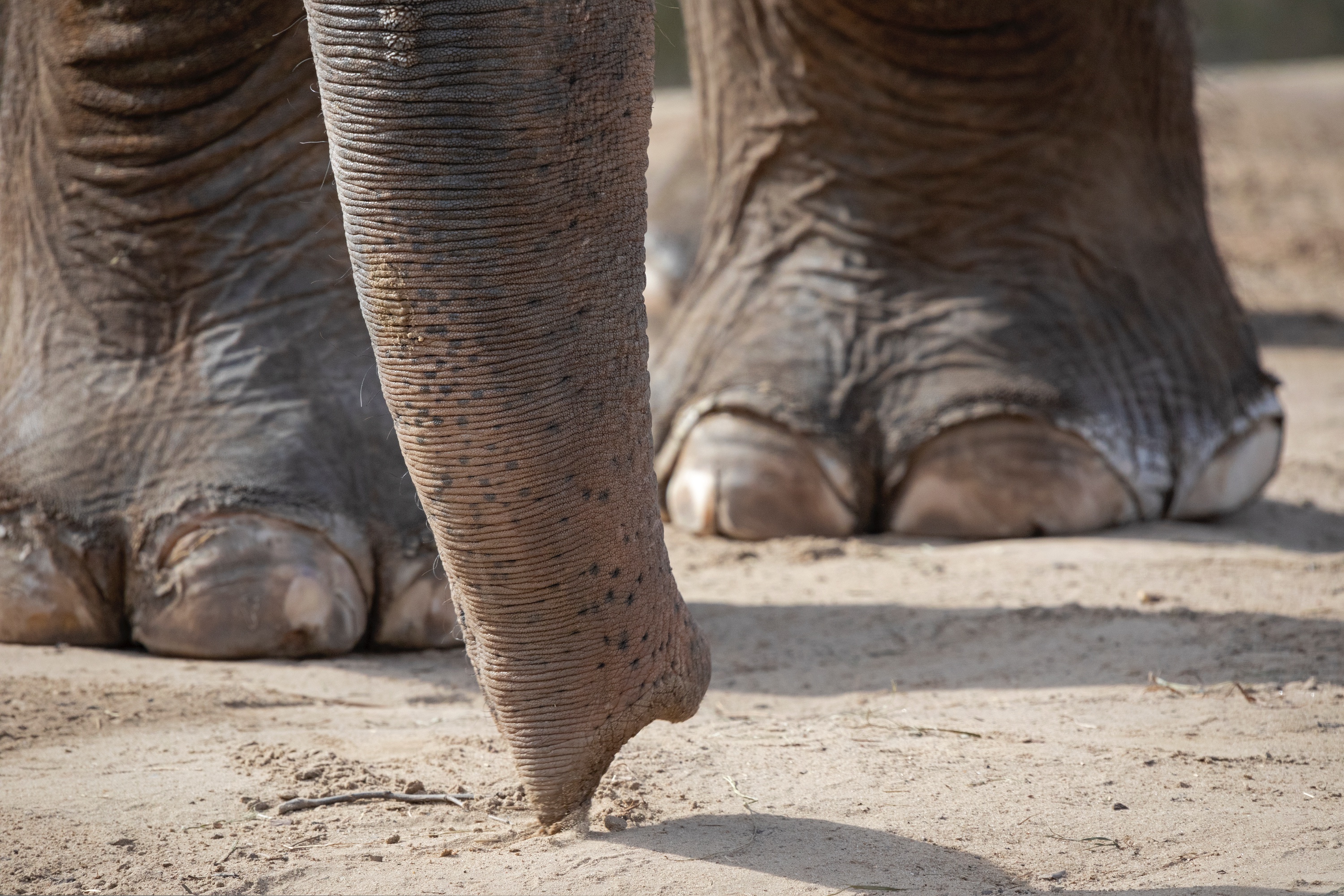 Bis hierher und nicht weiter!