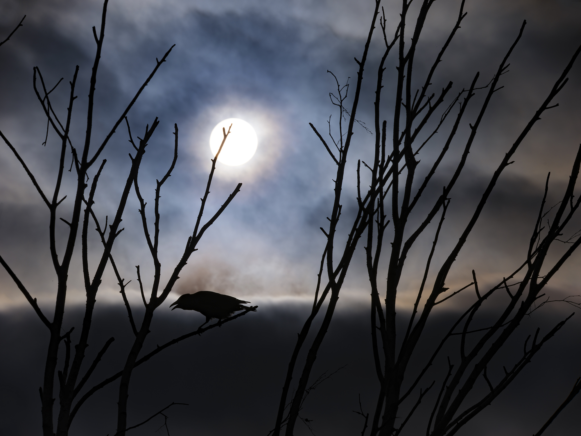 Gespenstige Stimmung ...