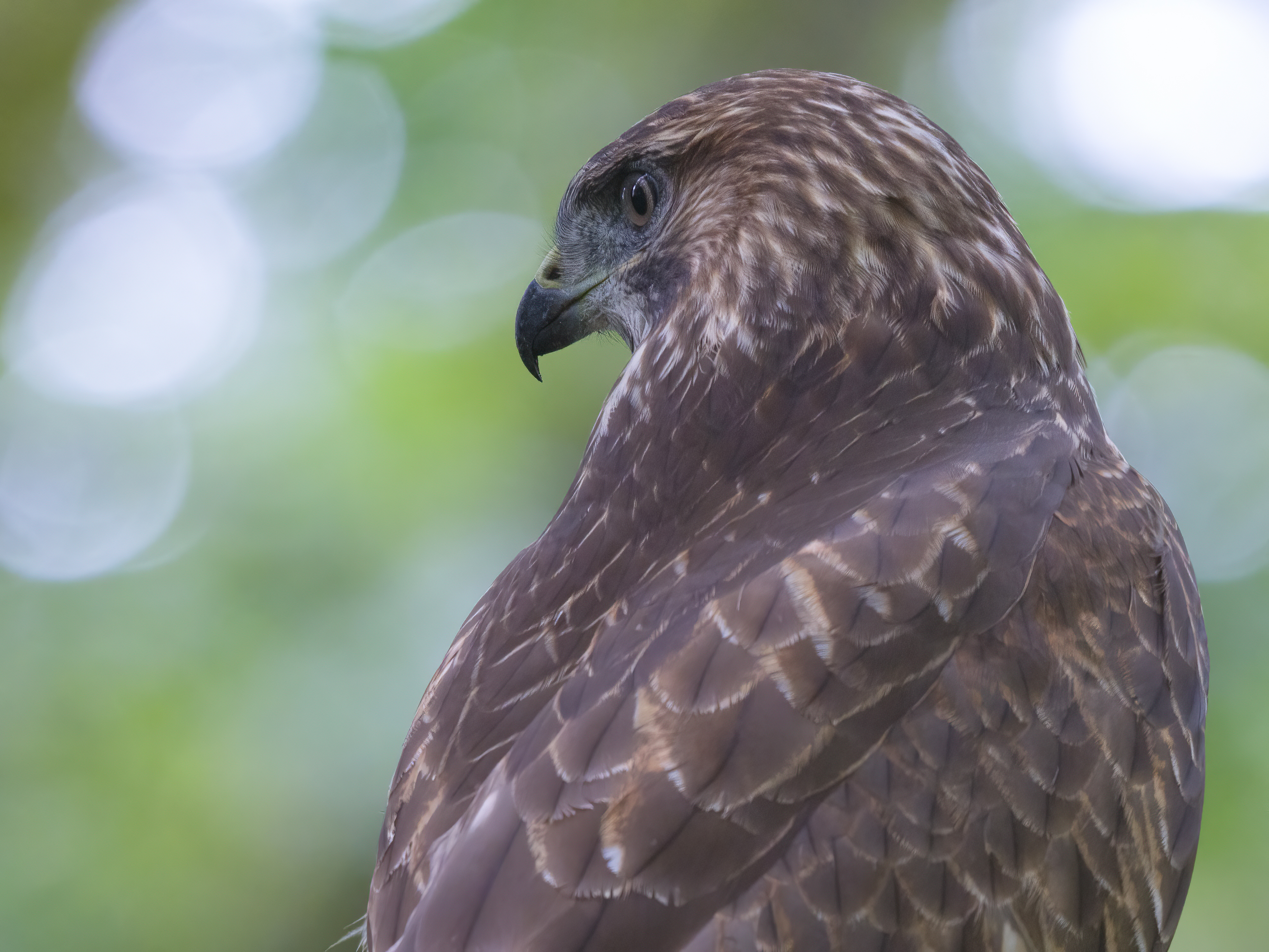 Was für ein perfektes ...