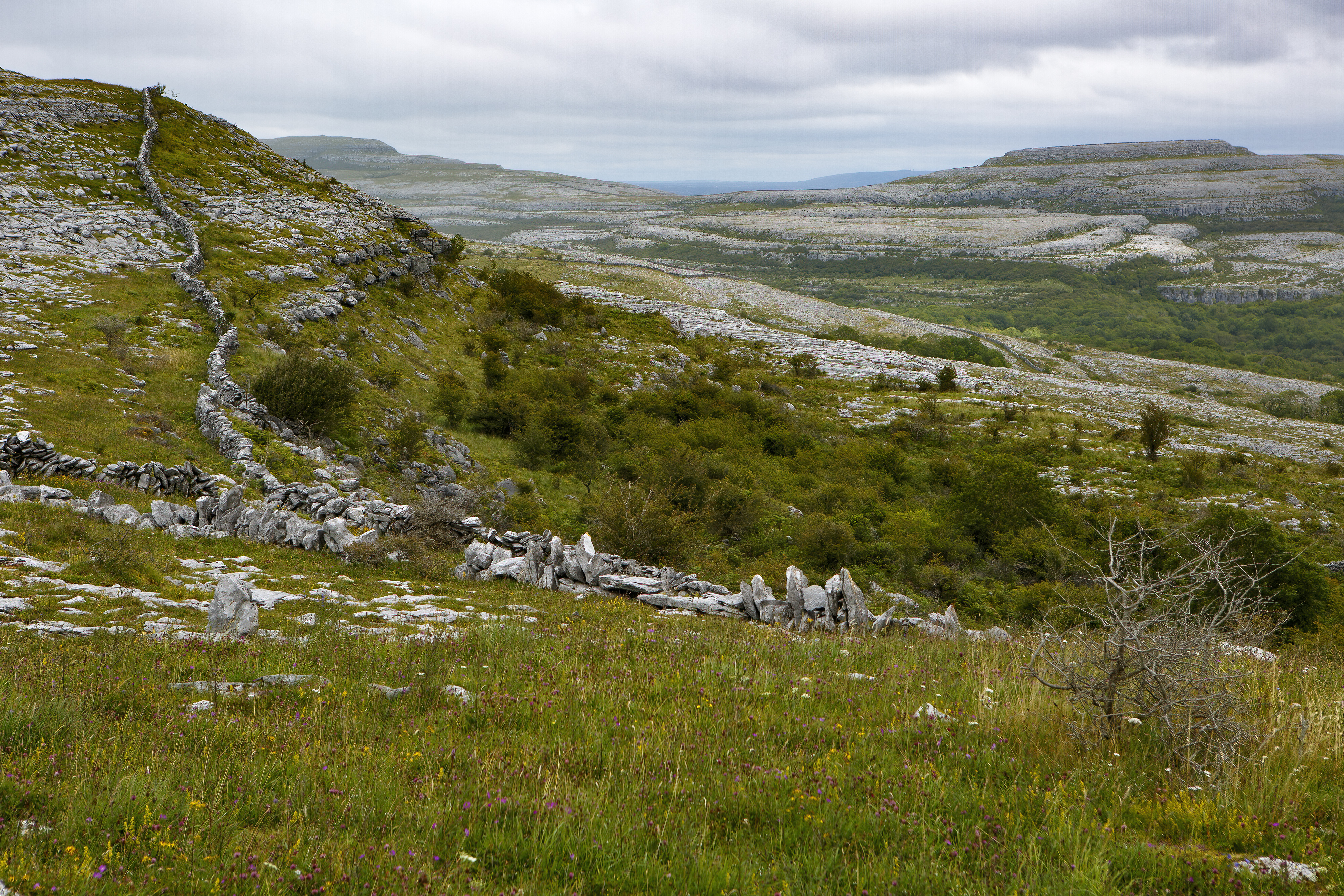 Der Burren, Irlands ...