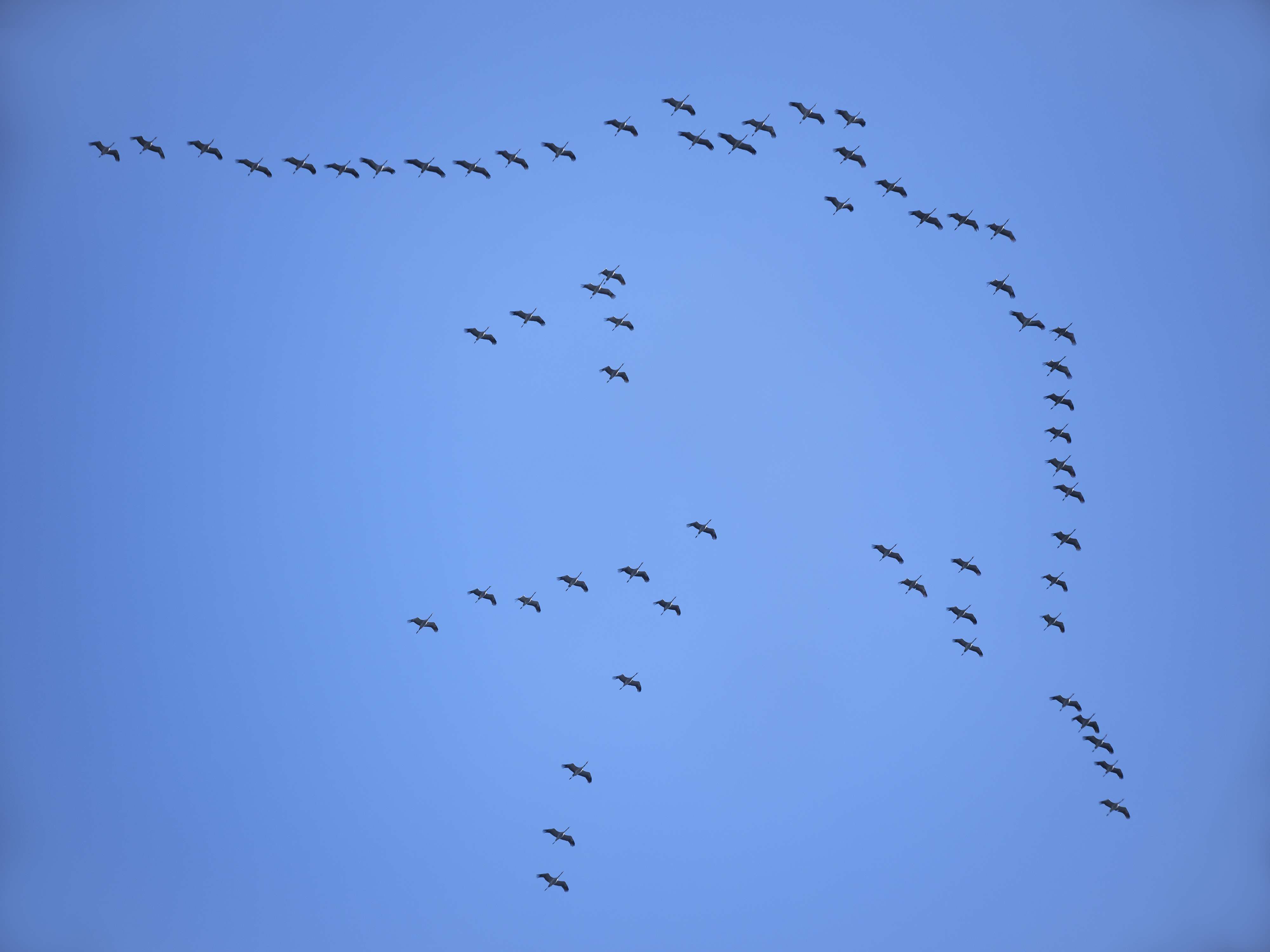 Es wird mit mehr als ...