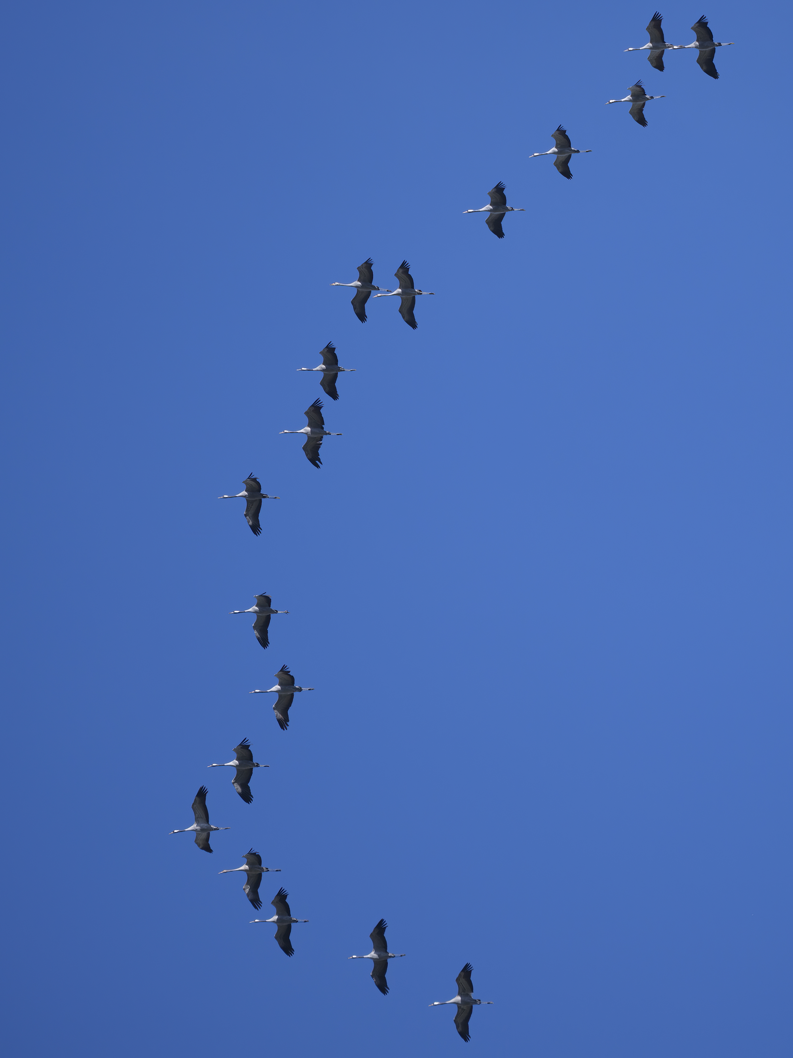 Heute haben sich ...