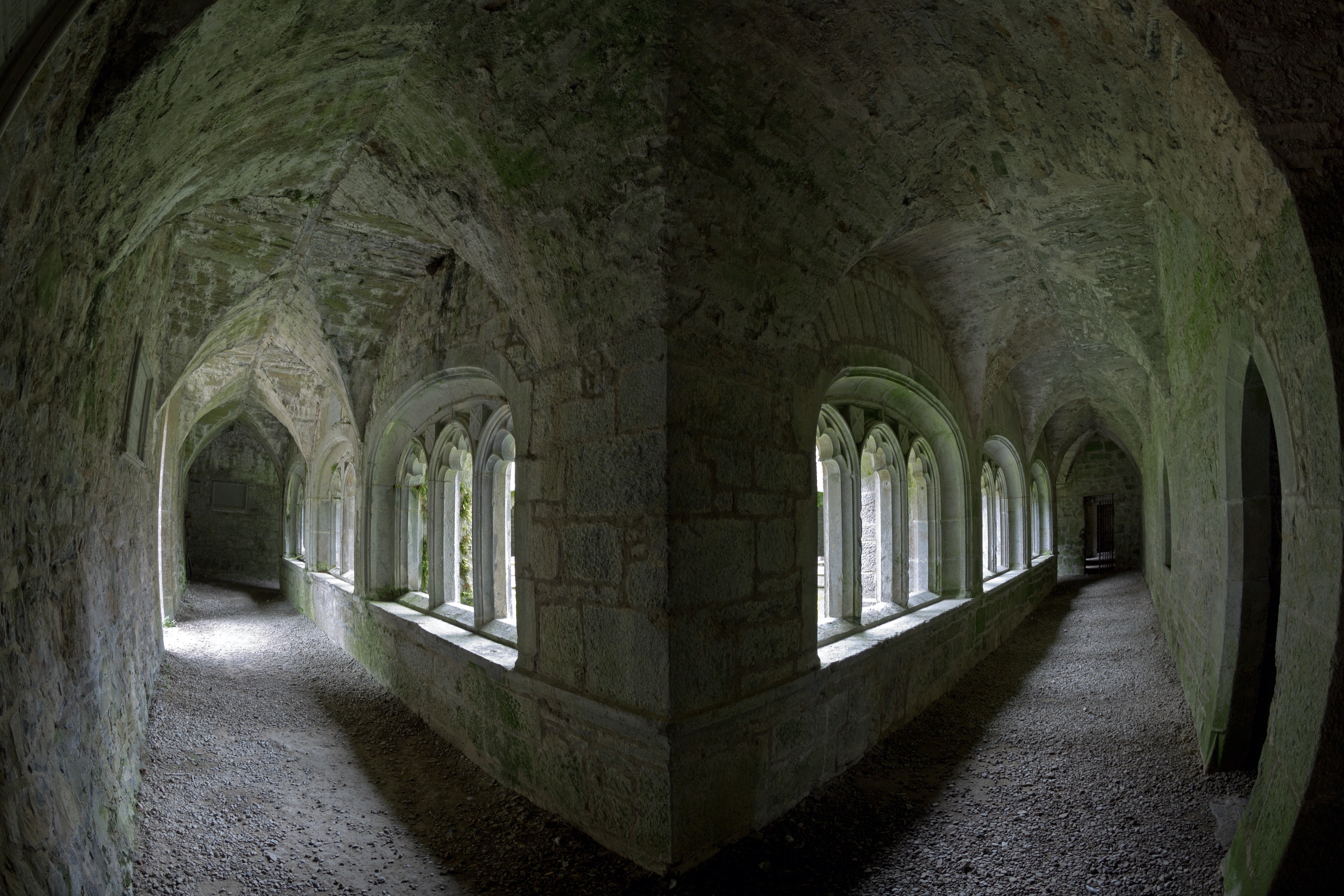 Augustinian Friary, Adare