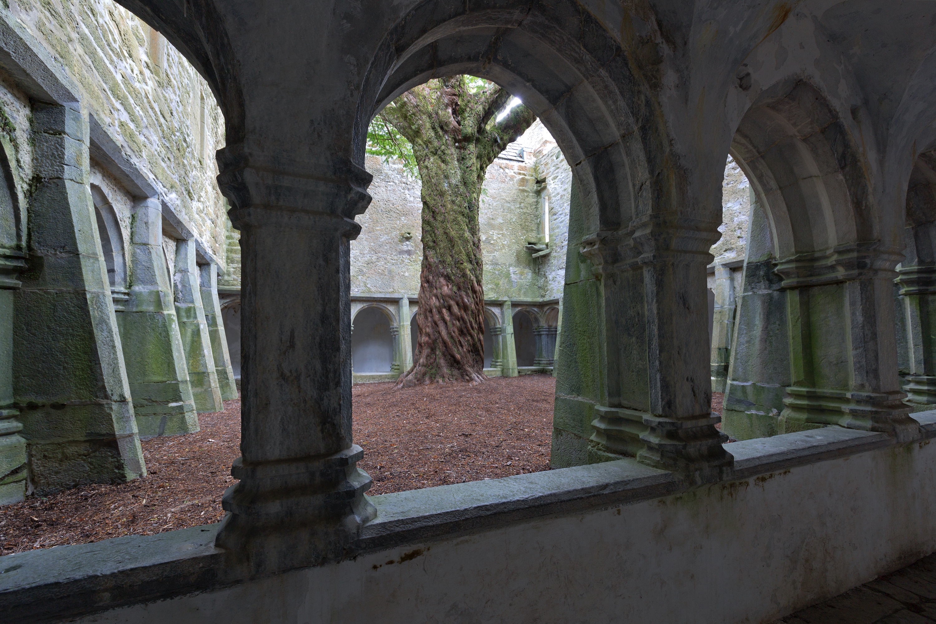 Muckross Abbey