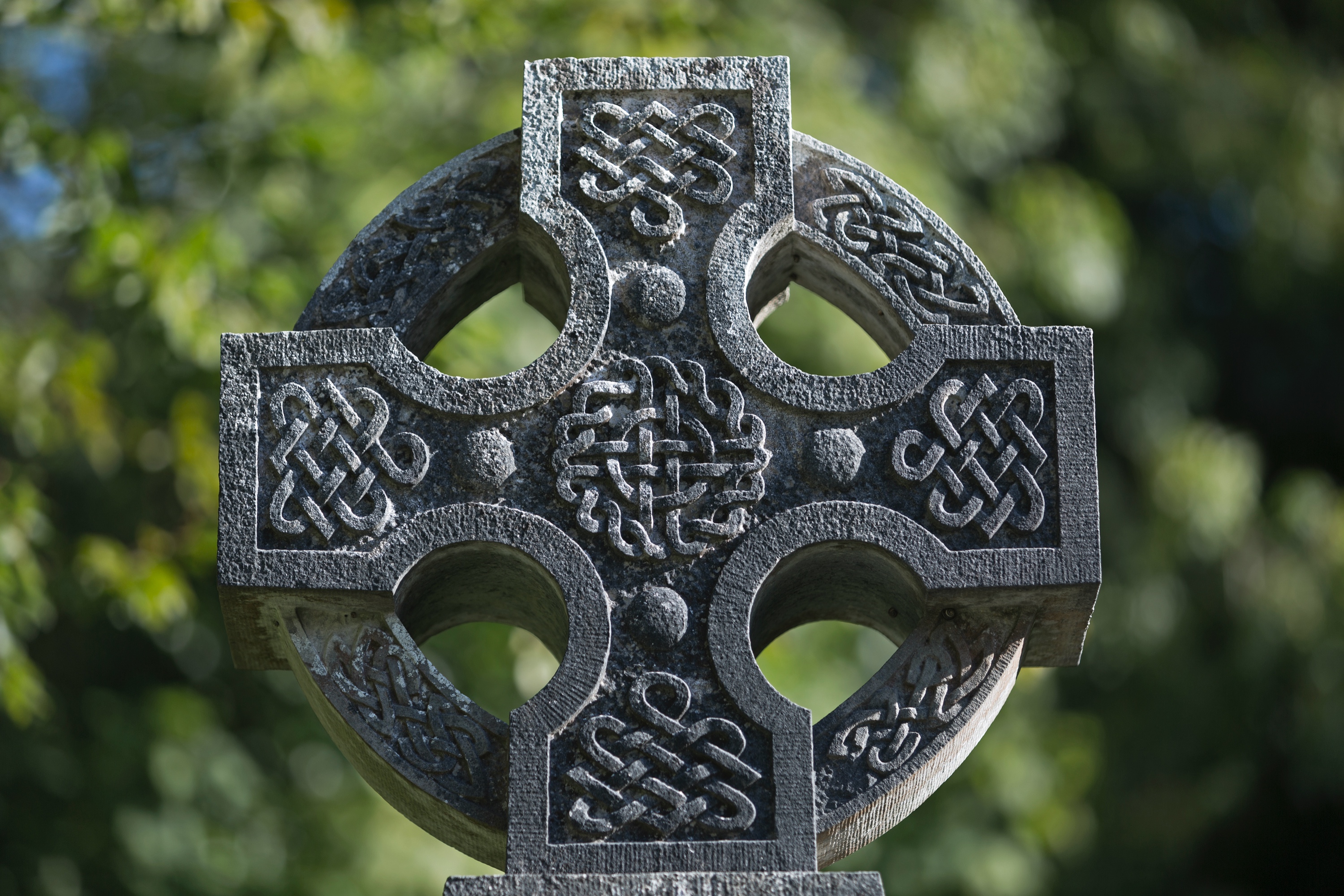 IRL 5D 14.08.2015 126